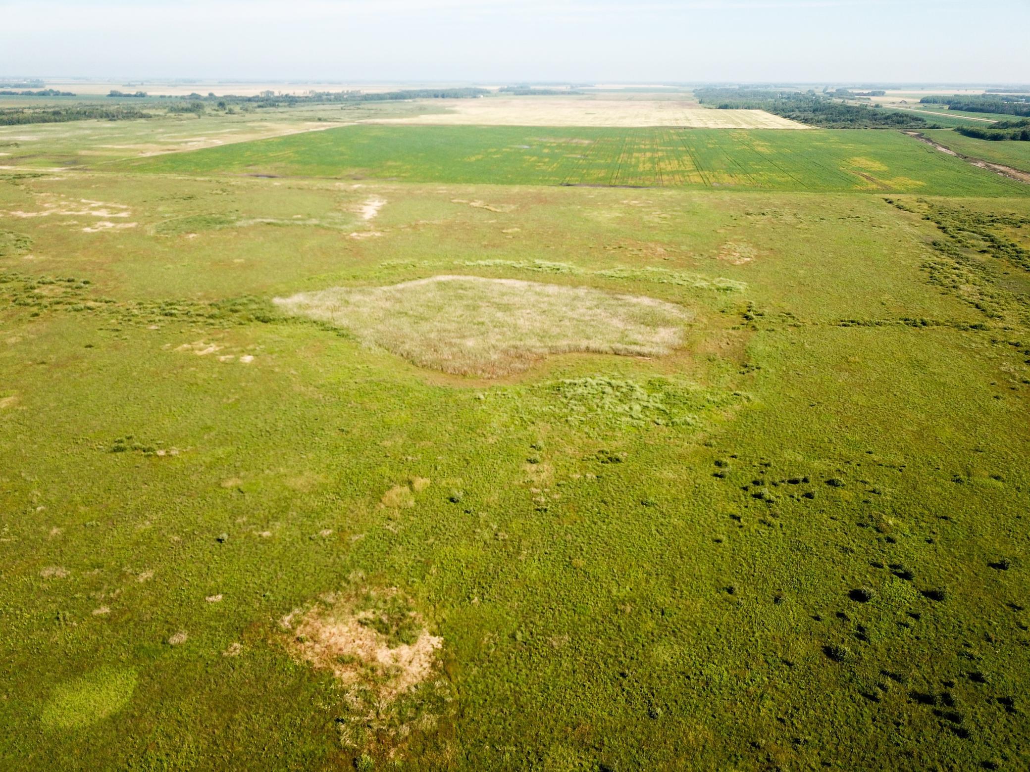 land for sale at TBD 150th Street NW in Thief River Falls, MN (photo 4 of 47)