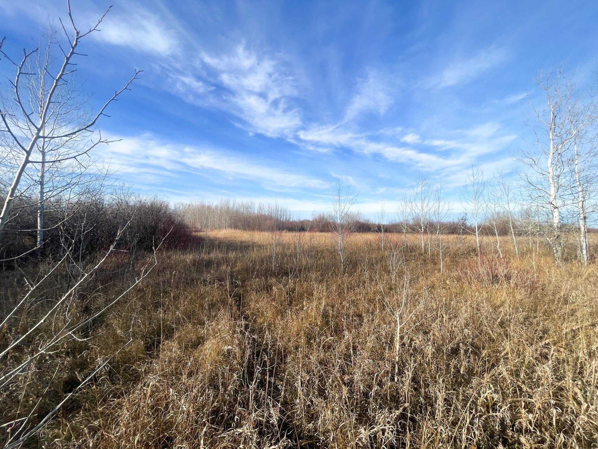 land for sale at TBD 150th Street NW in Thief River Falls, MN (photo 31 of 47)