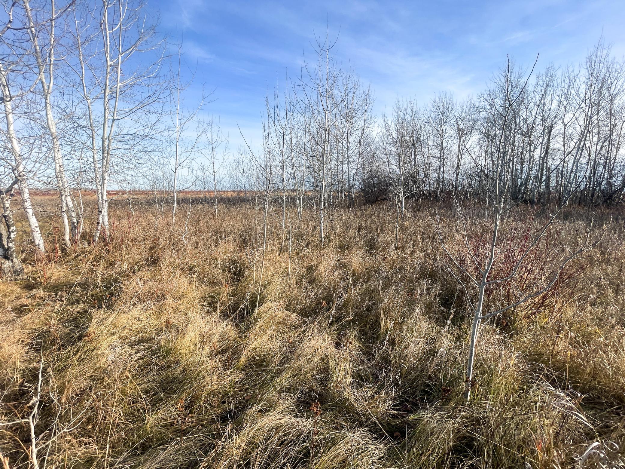 land for sale at TBD 150th Street NW in Thief River Falls, MN (photo 32 of 47)