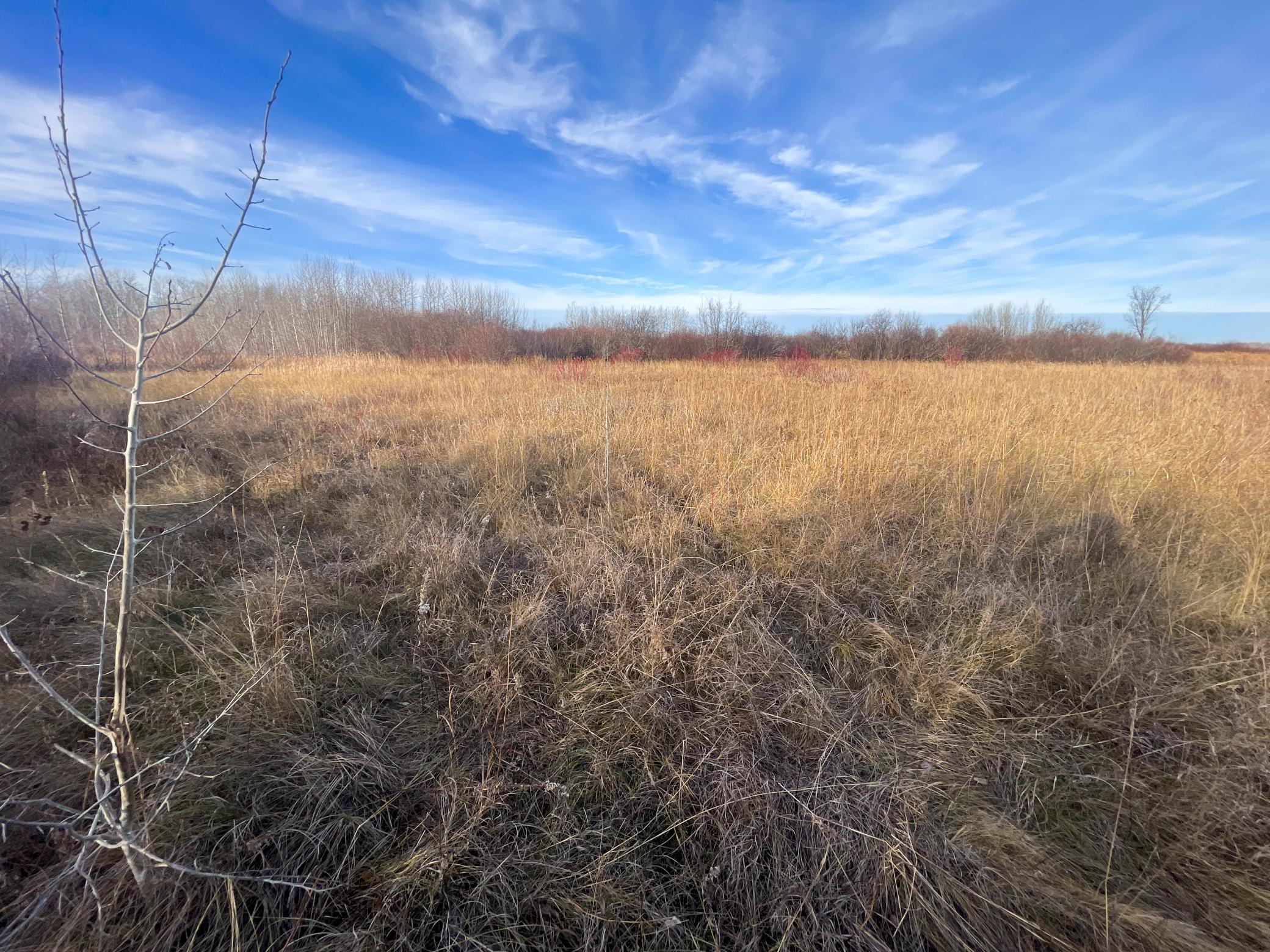 land for sale at TBD 150th Street NW in Thief River Falls, MN (photo 33 of 47)