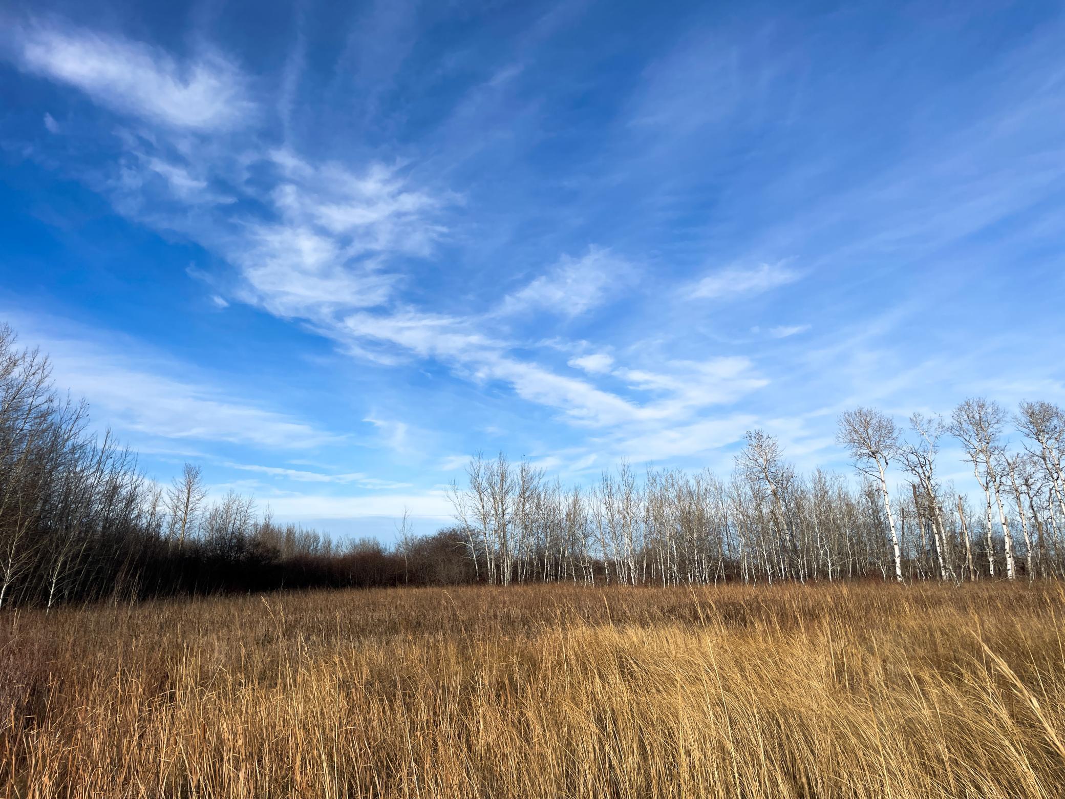 land for sale at TBD 150th Street NW in Thief River Falls, MN (photo 36 of 47)