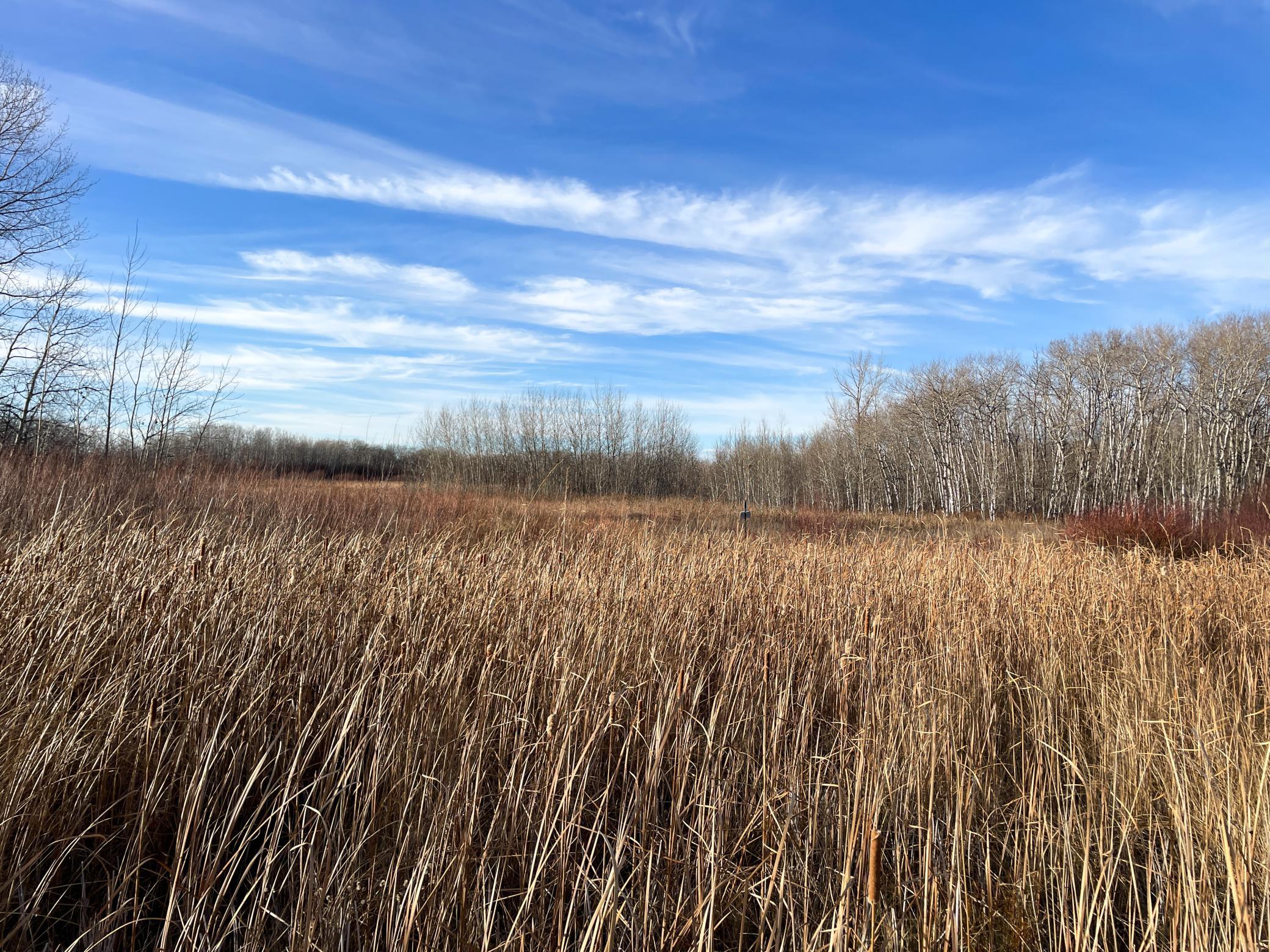land for sale at TBD 150th Street NW in Thief River Falls, MN (photo 37 of 47)