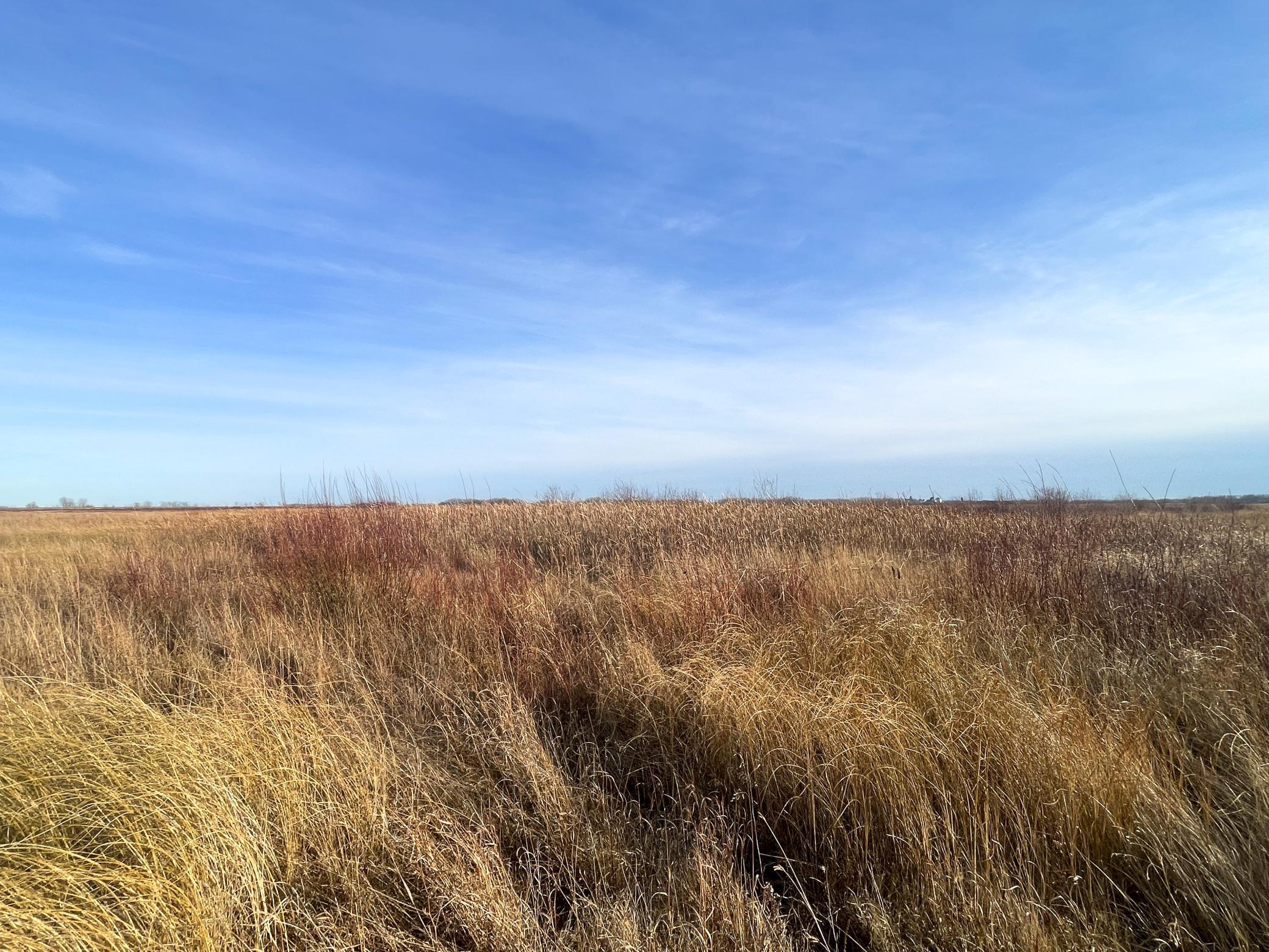 land for sale at TBD 150th Street NW in Thief River Falls, MN (photo 38 of 47)