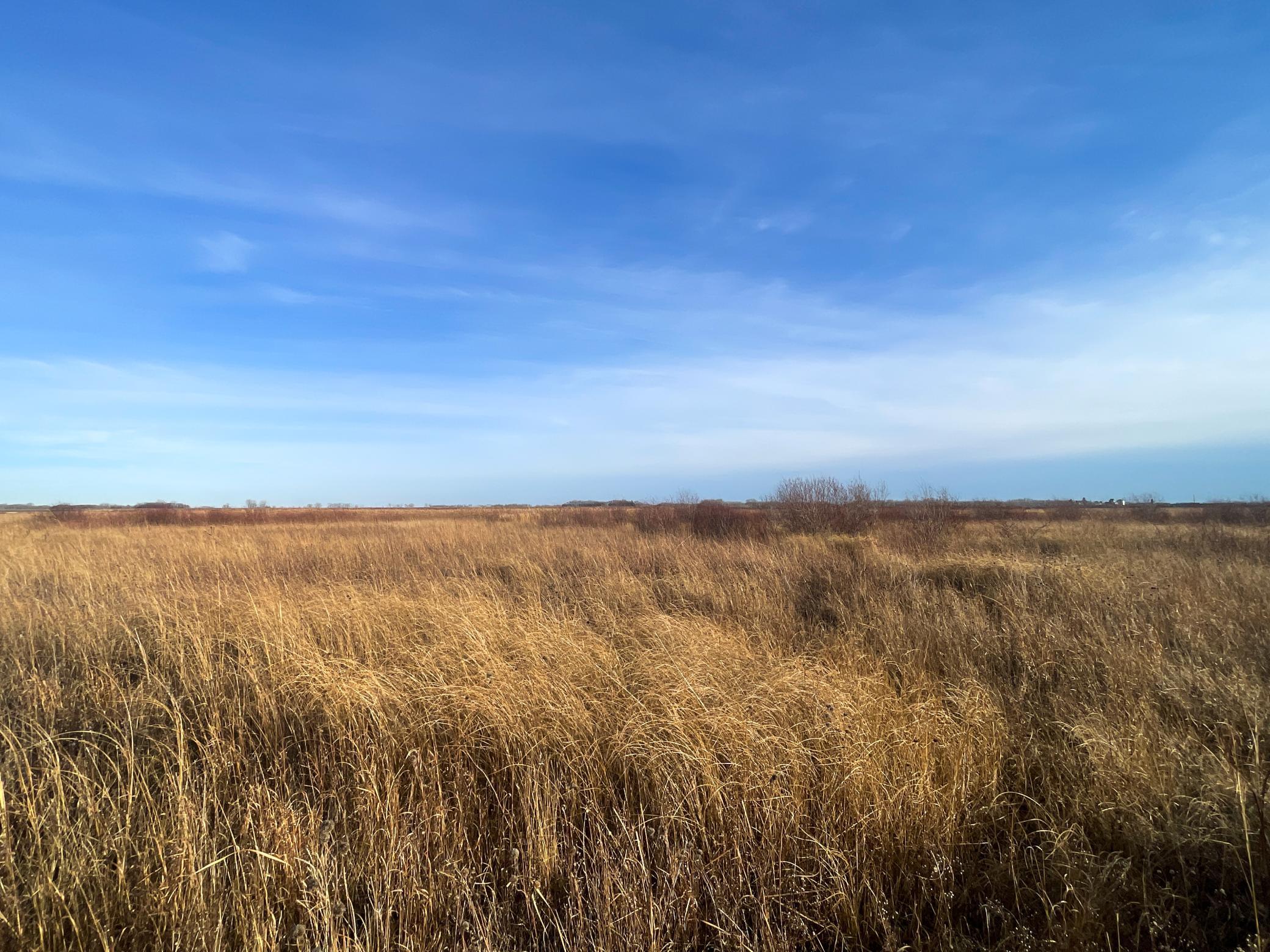 land for sale at TBD 150th Street NW in Thief River Falls, MN (photo 39 of 47)