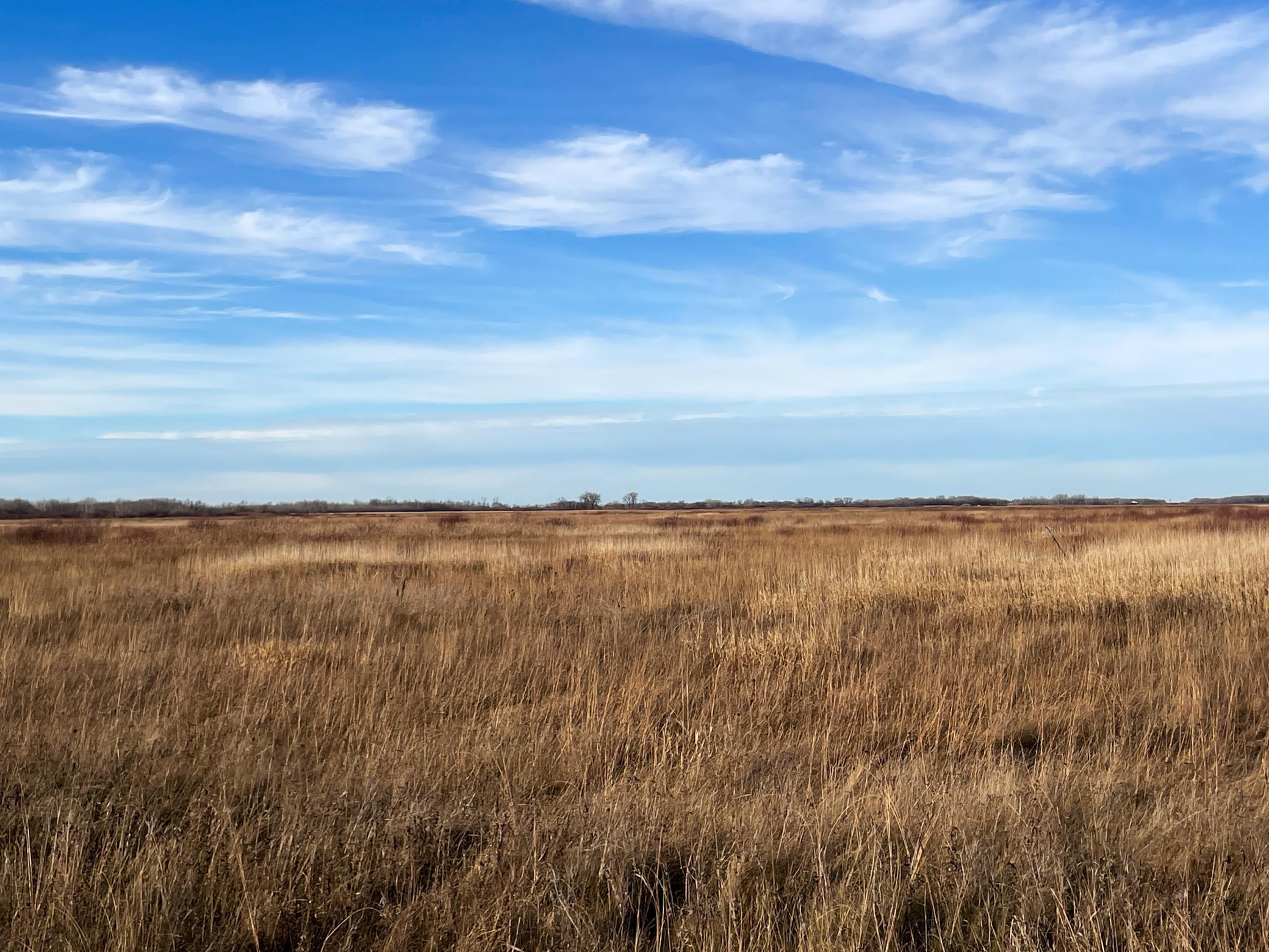 land for sale at TBD 150th Street NW in Thief River Falls, MN (photo 40 of 47)