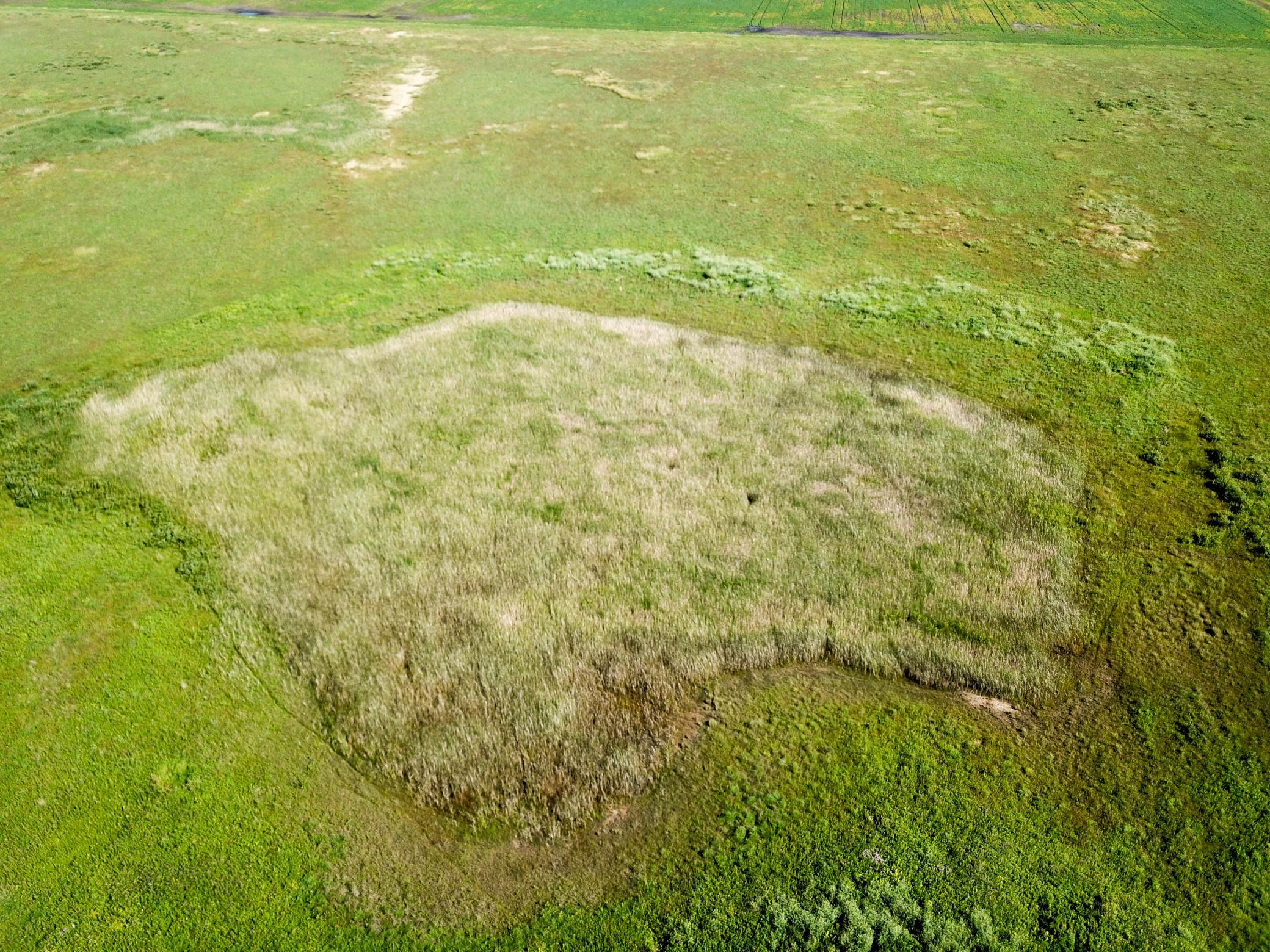 land for sale at TBD 150th Street NW in Thief River Falls, MN (photo 5 of 47)