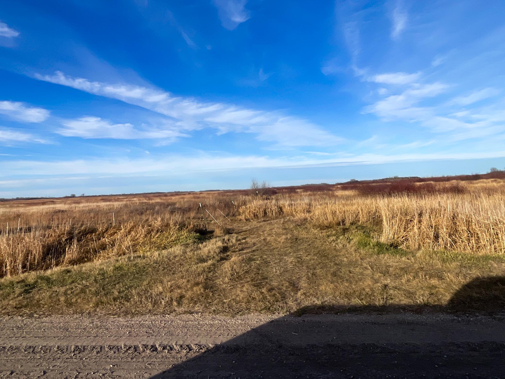 land for sale at TBD 150th Street NW in Thief River Falls, MN (photo 41 of 47)