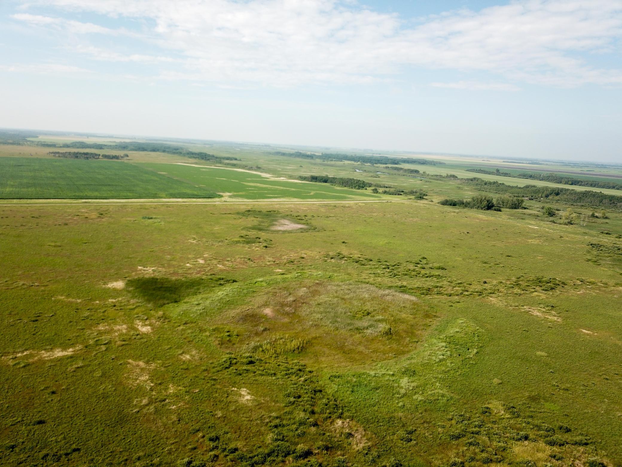 land for sale at TBD 150th Street NW in Thief River Falls, MN (photo 6 of 47)