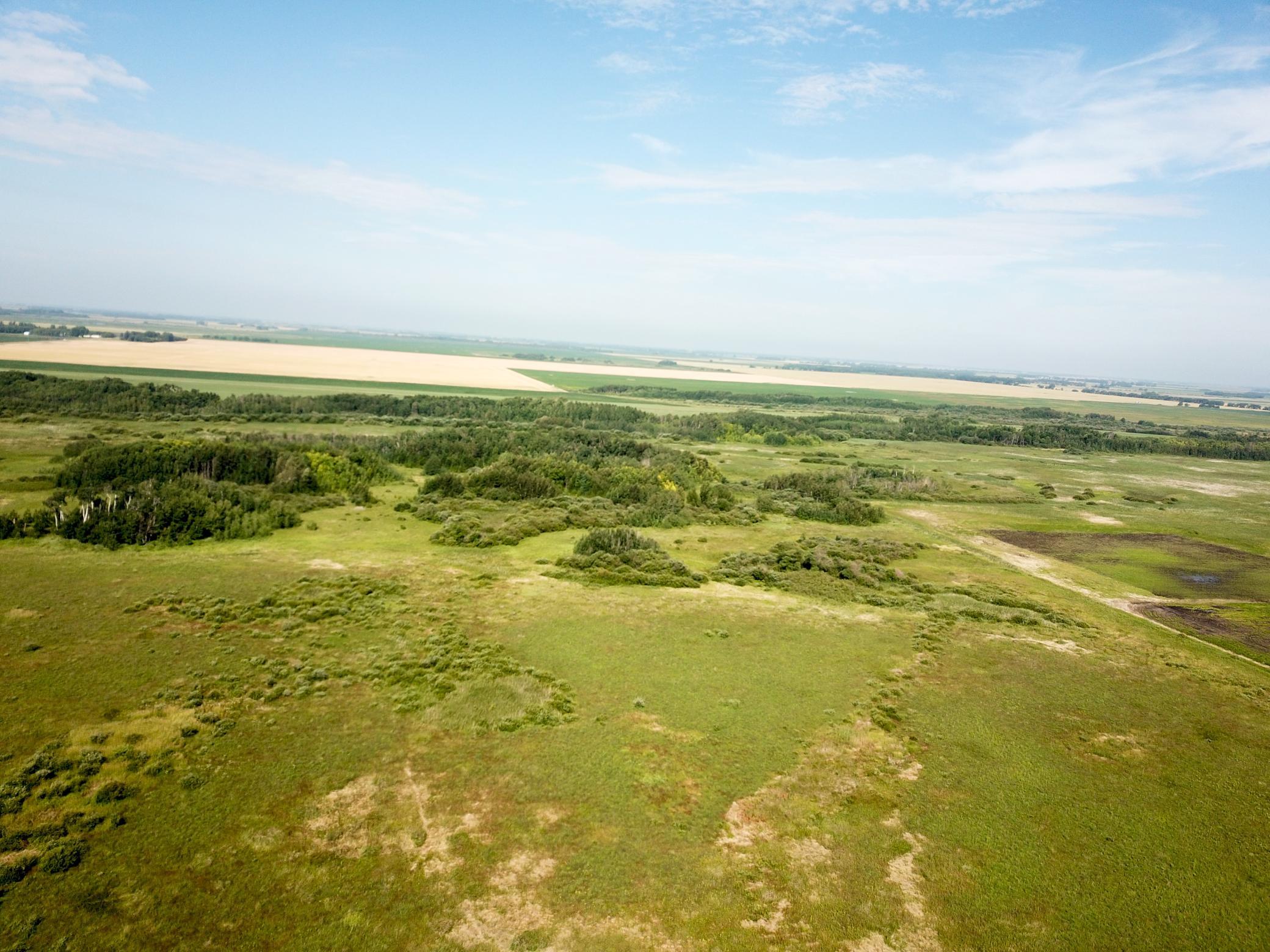 land for sale at TBD 150th Street NW in Thief River Falls, MN (photo 7 of 47)