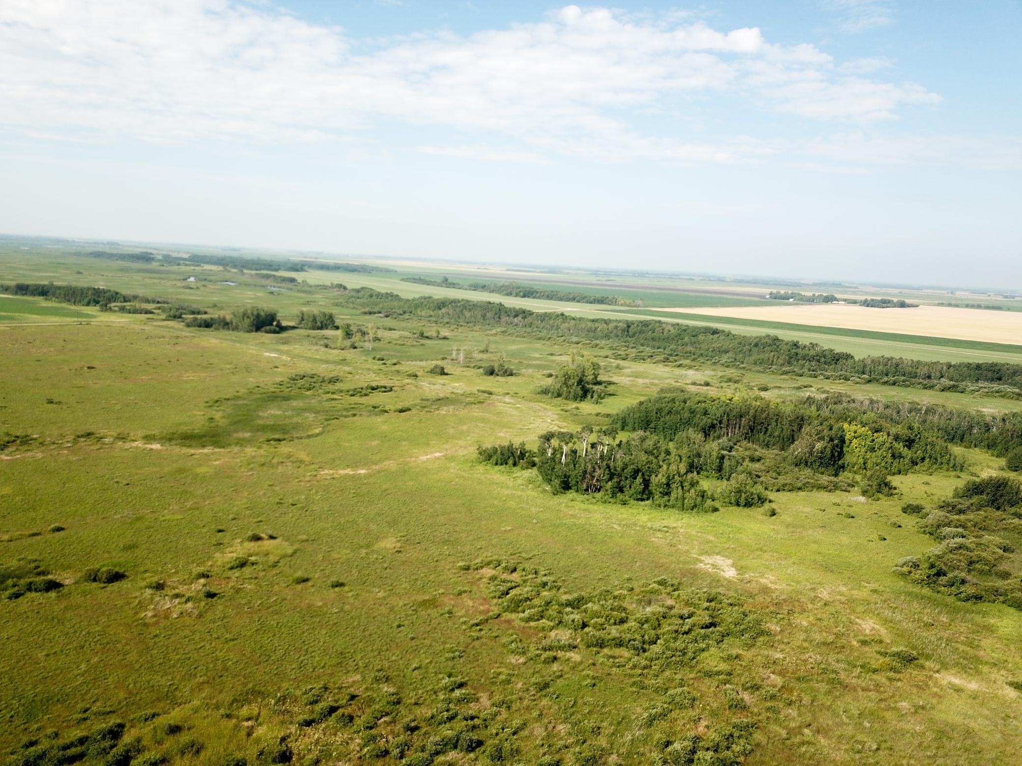 land for sale at TBD 150th Street NW in Thief River Falls, MN (photo 8 of 47)