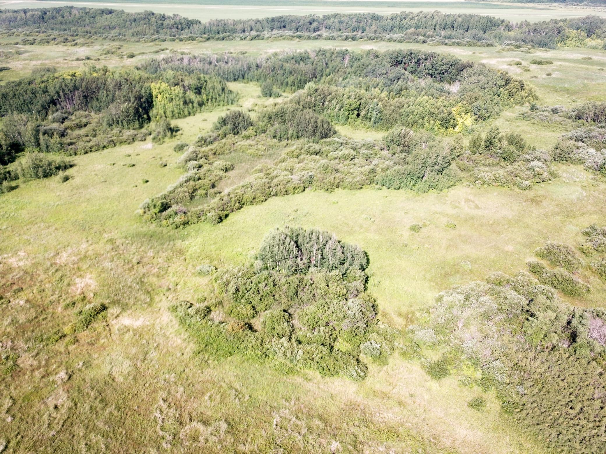 land for sale at TBD 150th Street NW in Thief River Falls, MN (photo 9 of 47)