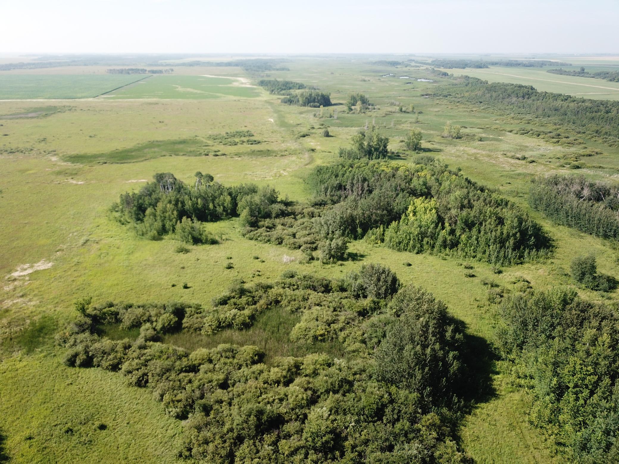 land for sale at TBD 150th Street NW in Thief River Falls, MN (photo 10 of 47)