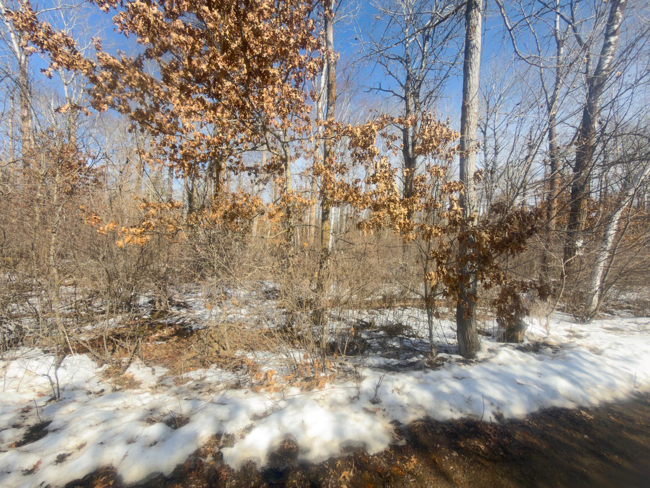 land for sale at TBD 8 Bog Lake Trail in Osage, MN (photo 3 of 8)