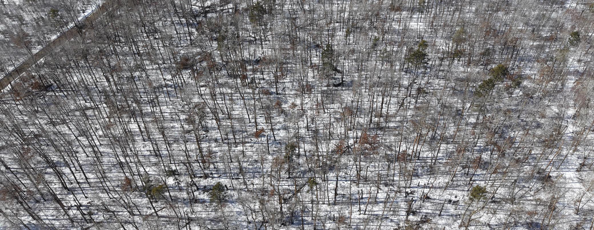 land for sale at TBD 8 Bog Lake Trail in Osage, MN (photo 5 of 8)