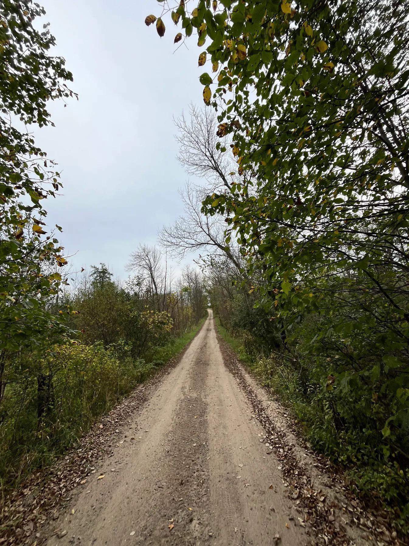 land for sale at 30423 Grosbeak Road in Long Prairie, MN (photo 4 of 15)