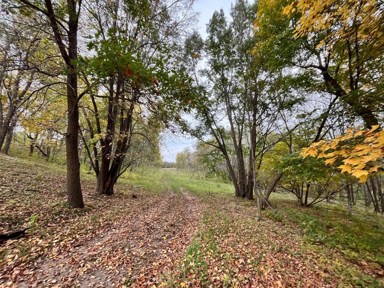 land for sale at 30423 Grosbeak Road in Long Prairie, MN (photo 5 of 15)