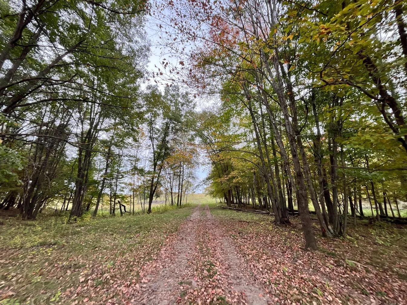 land for sale at 30423 Grosbeak Road in Long Prairie, MN (photo 6 of 15)