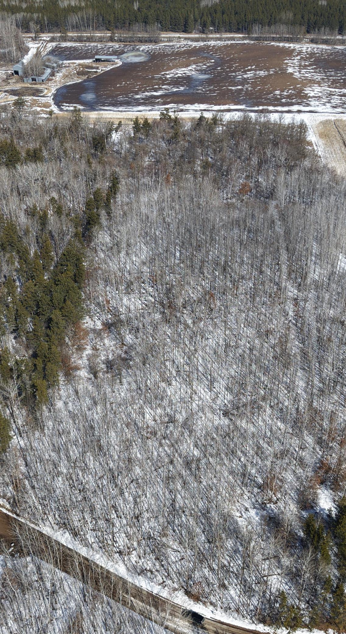 land for sale at TBD 10 Bog Lake Trail in Osage, MN (photo 2 of 7)