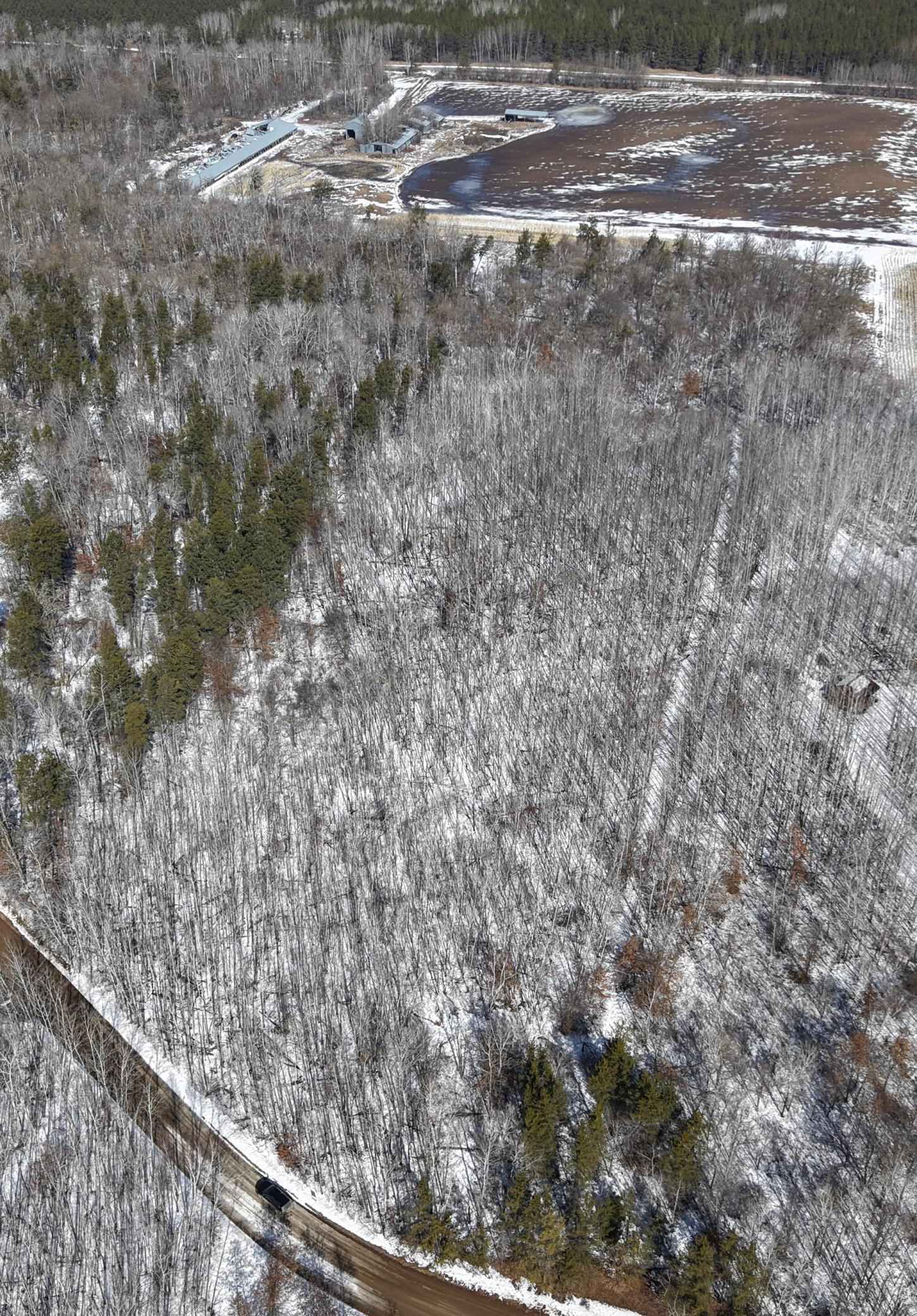 land for sale at TBD 10 Bog Lake Trail in Osage, MN (photo 3 of 7)