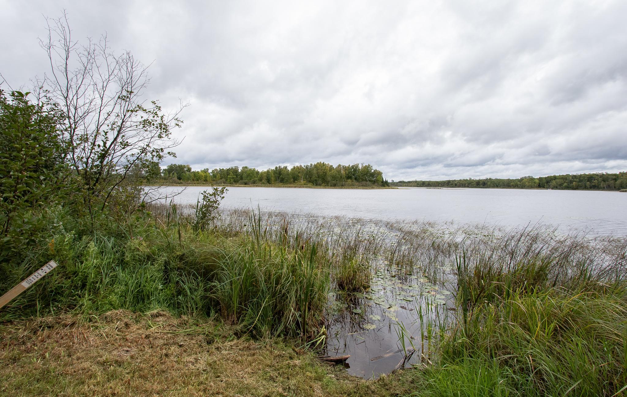 TBD Libby Lake Road, Nashwauk MN 55769 - Photo 3 of 12