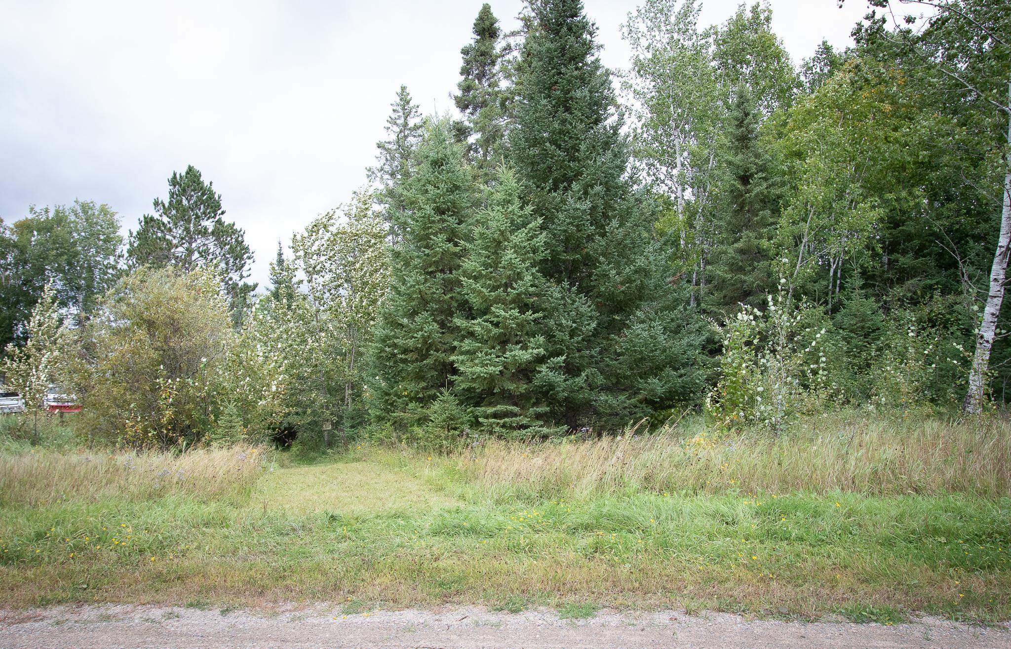 TBD Libby Lake Road, Nashwauk MN 55769 - Photo 4 of 12