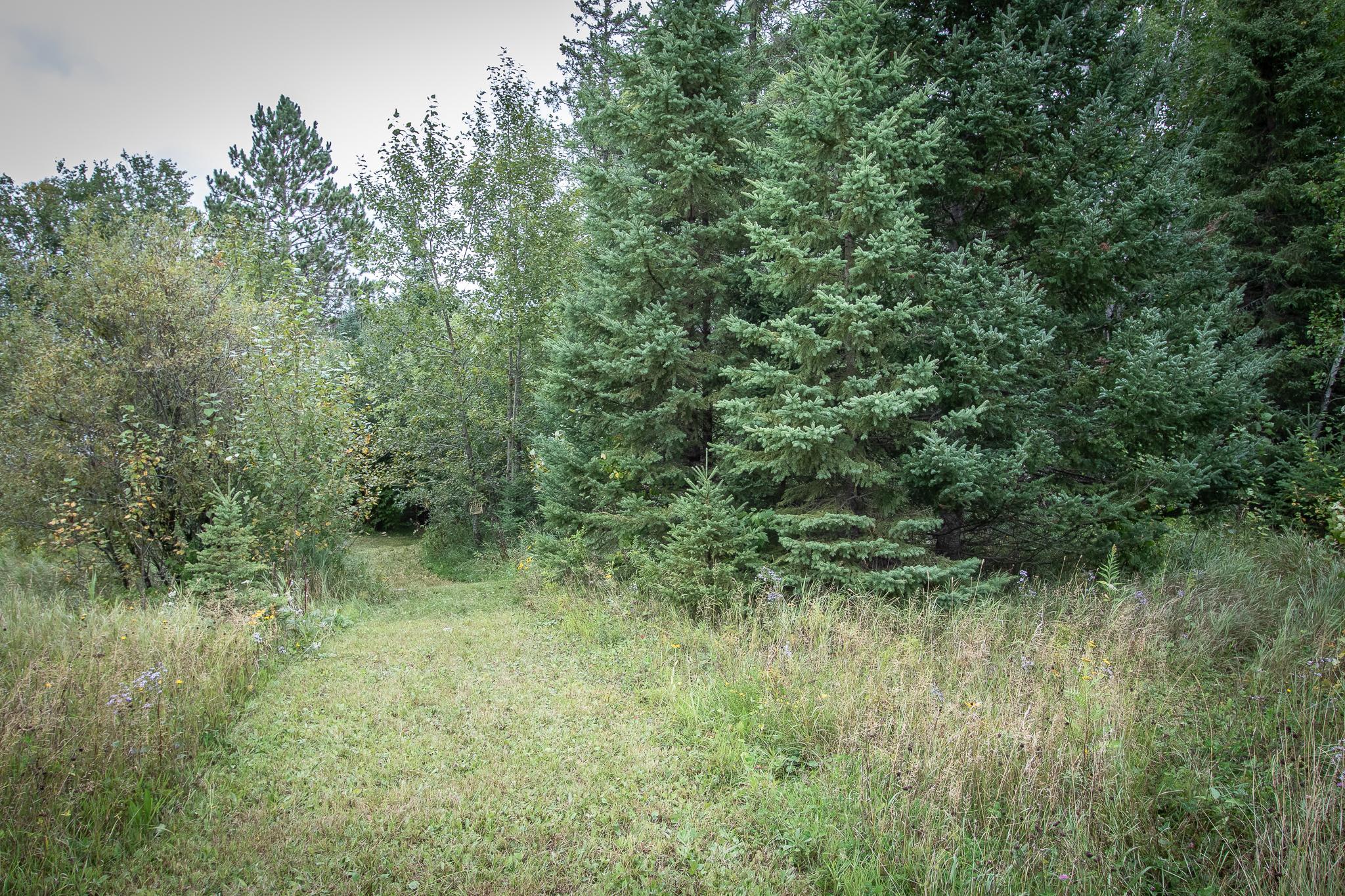 land for sale at TBD Libby Lake Road in Nashwauk, MN (photo 9 of 25)
