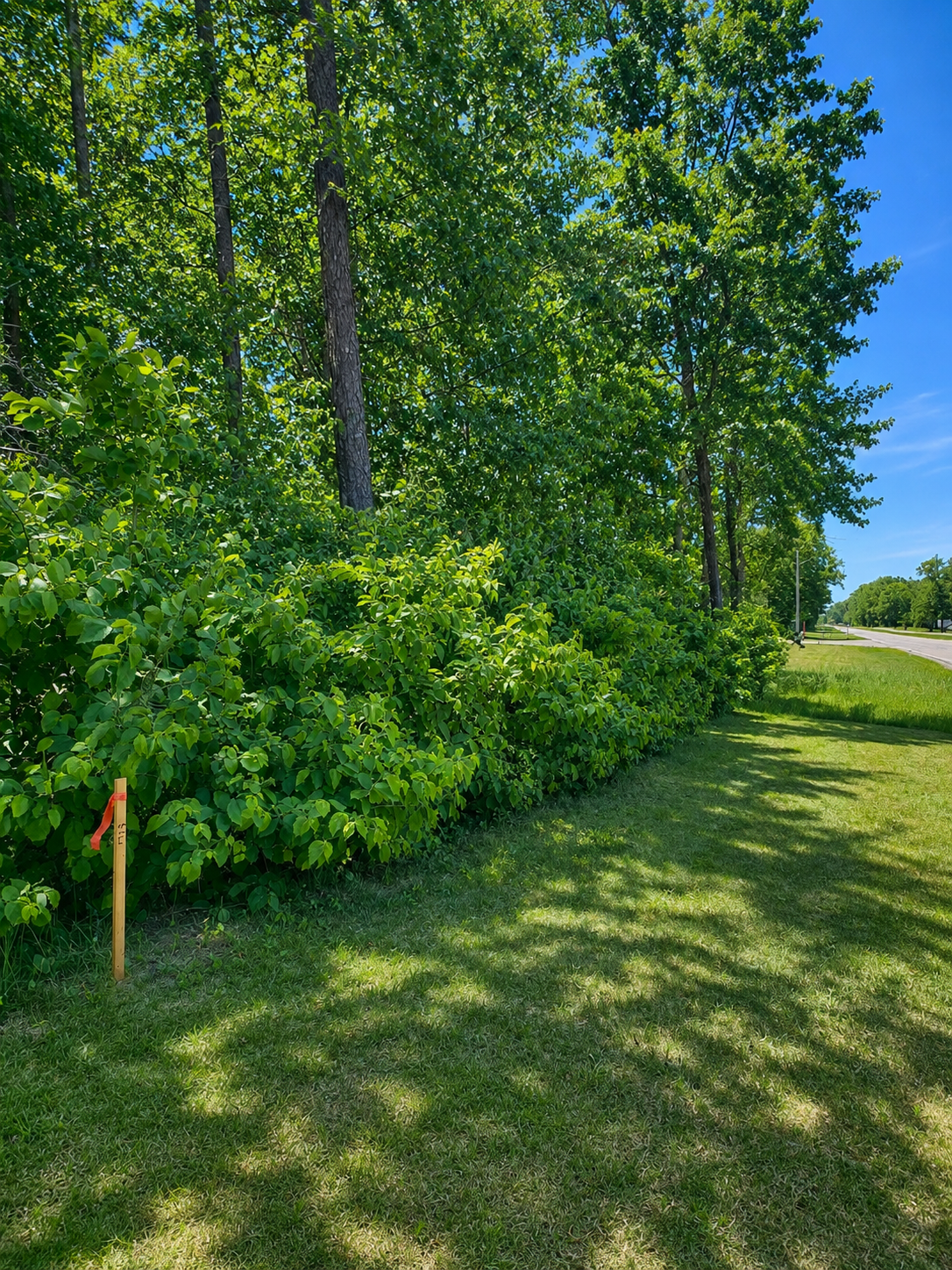 land for sale at TBD Clearwater Road N in Baxter, MN (photo 4 of 6)
