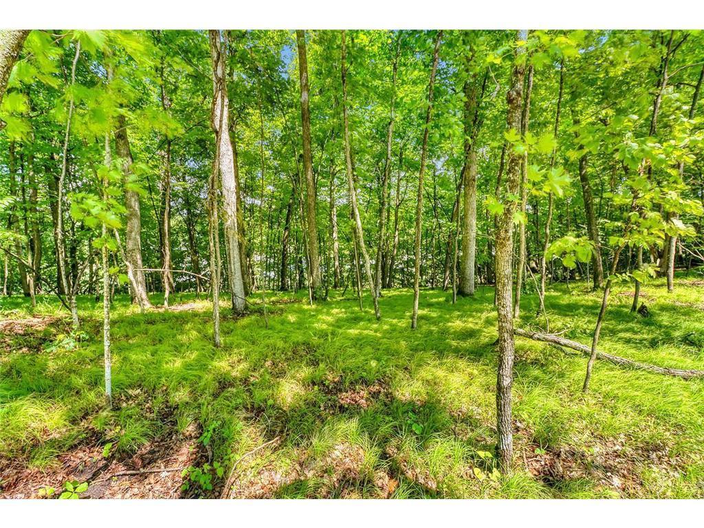 land for sale at 49330 Fish Lake Road in Pelican Rapids, MN (photo 13 of 21)