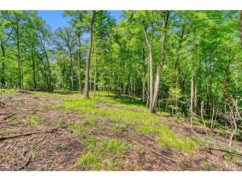 land for sale at 49330 Fish Lake Road in Pelican Rapids, MN (photo 14 of 21)