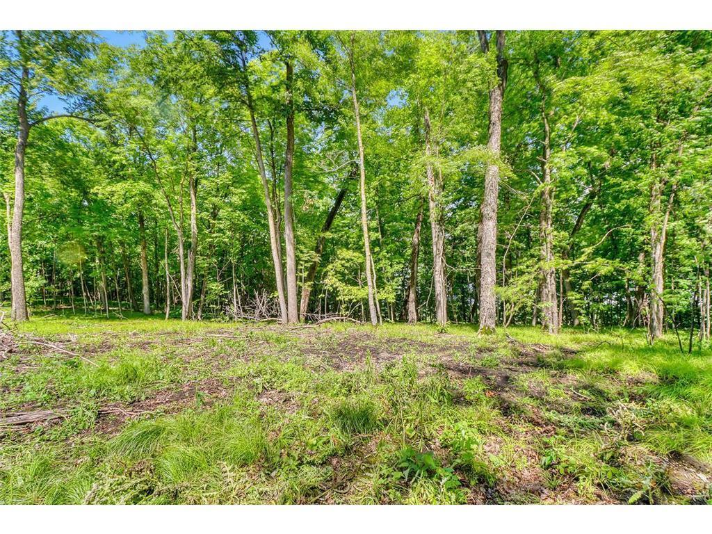 land for sale at 49330 Fish Lake Road in Pelican Rapids, MN (photo 15 of 21)