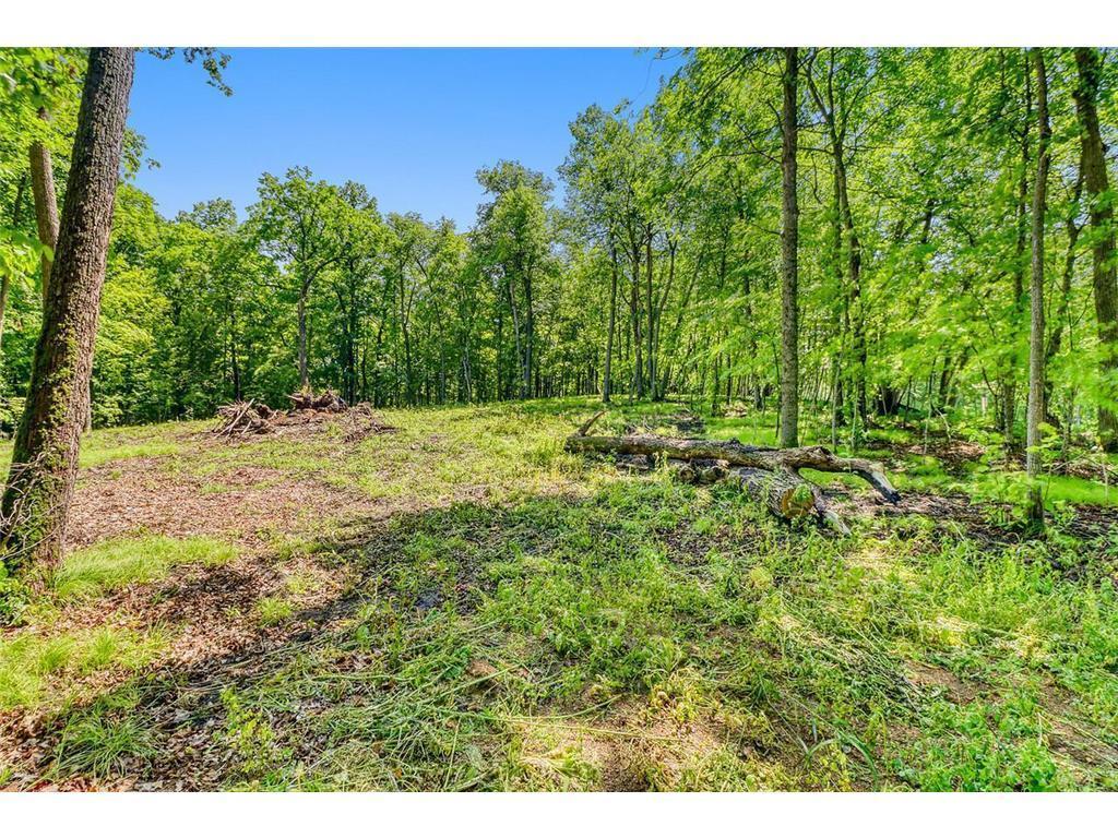 land for sale at 49330 Fish Lake Road in Pelican Rapids, MN (photo 19 of 21)