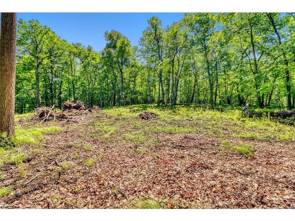land for sale at 49330 Fish Lake Road in Pelican Rapids, MN (photo 9 of 21)
