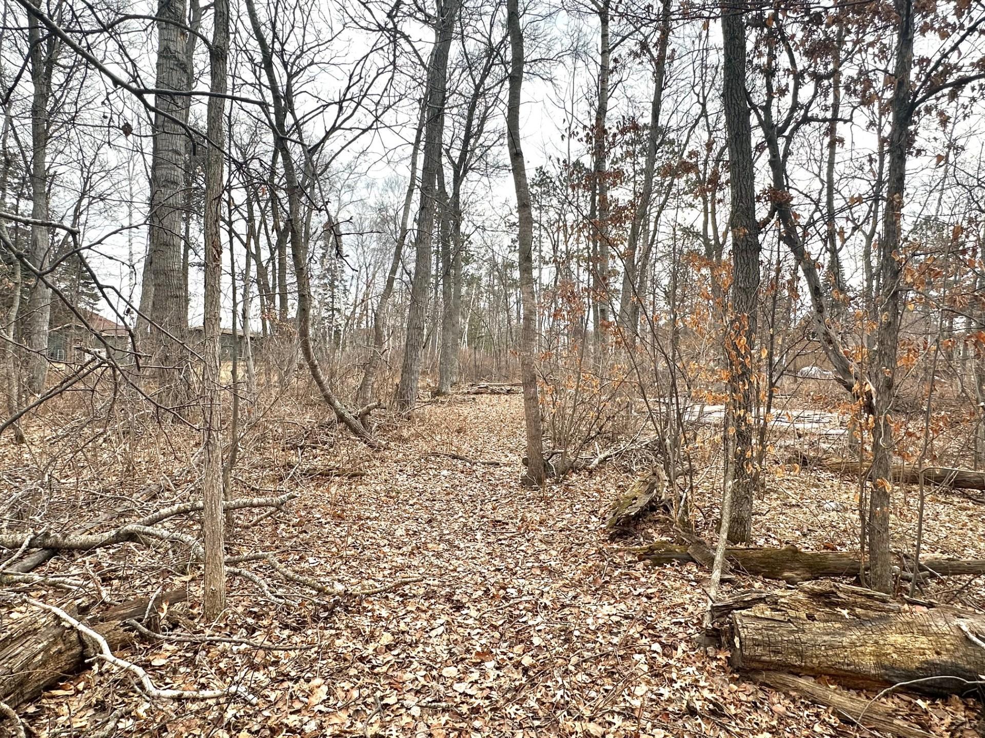 land for sale at 30476 Terminal Road in Pequot Lakes, MN (photo 2 of 7)