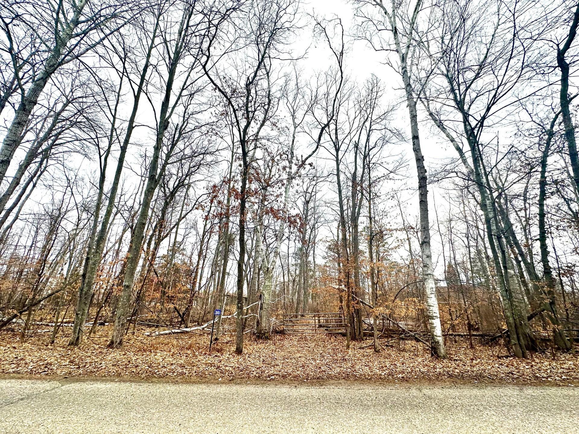 land for sale at 30476 Terminal Road in Pequot Lakes, MN (photo 5 of 7)