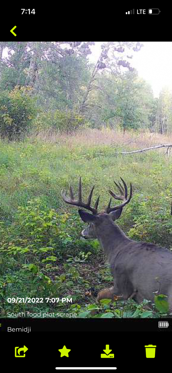 land for sale at TBD 15th Street NW in Bemidji, MN (photo 2 of 70)