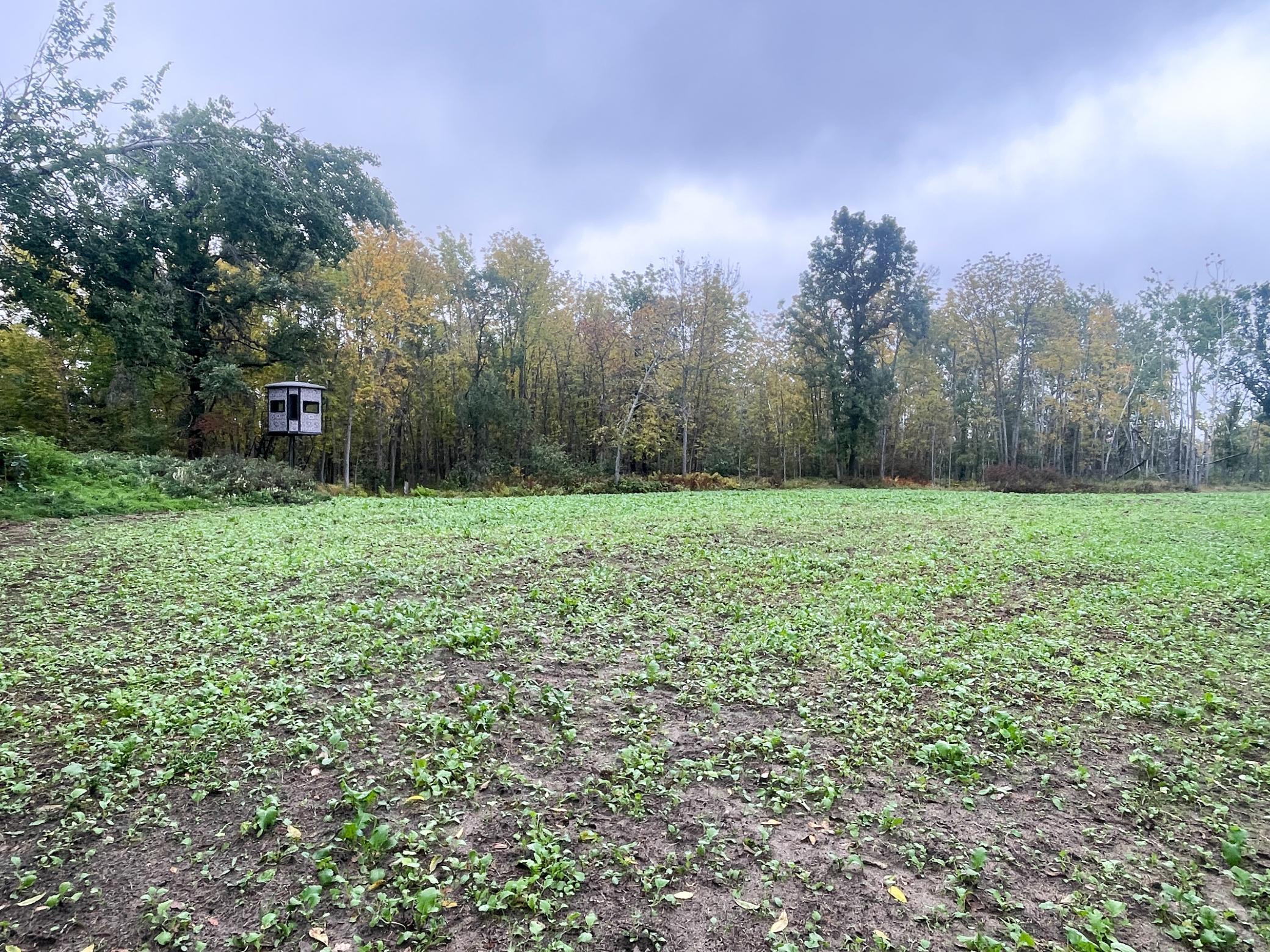 land for sale at TBD 15th Street NW in Bemidji, MN (photo 14 of 70)