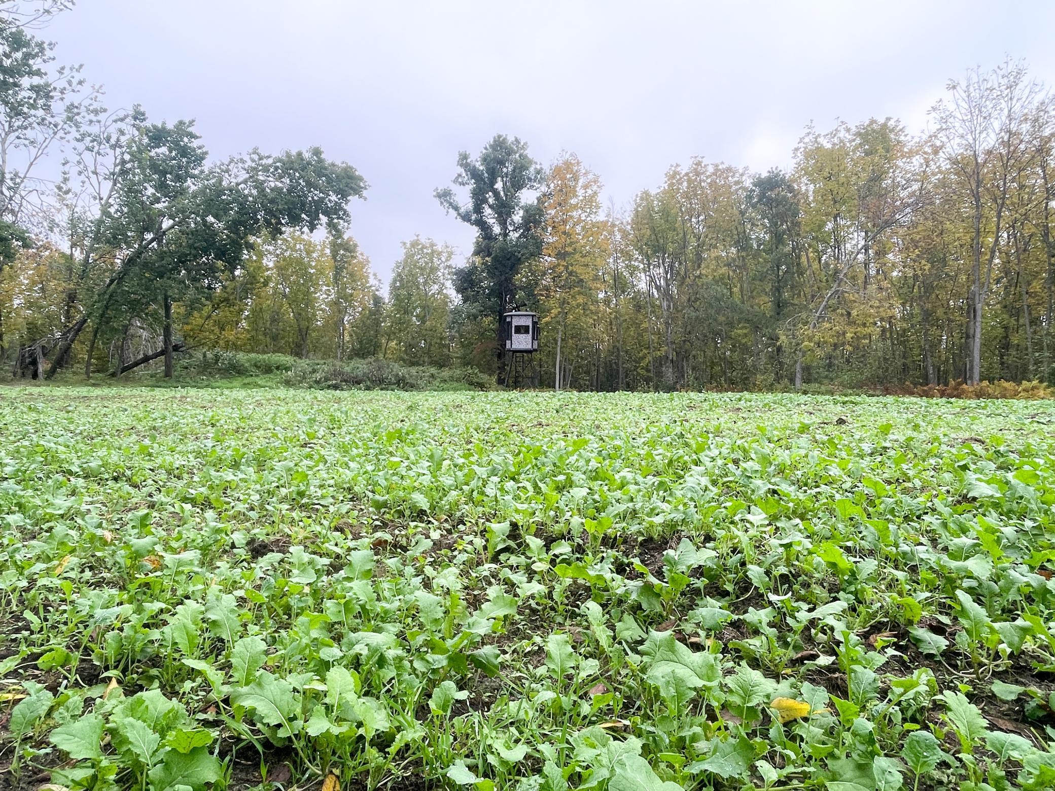 land for sale at TBD 15th Street NW in Bemidji, MN (photo 15 of 70)