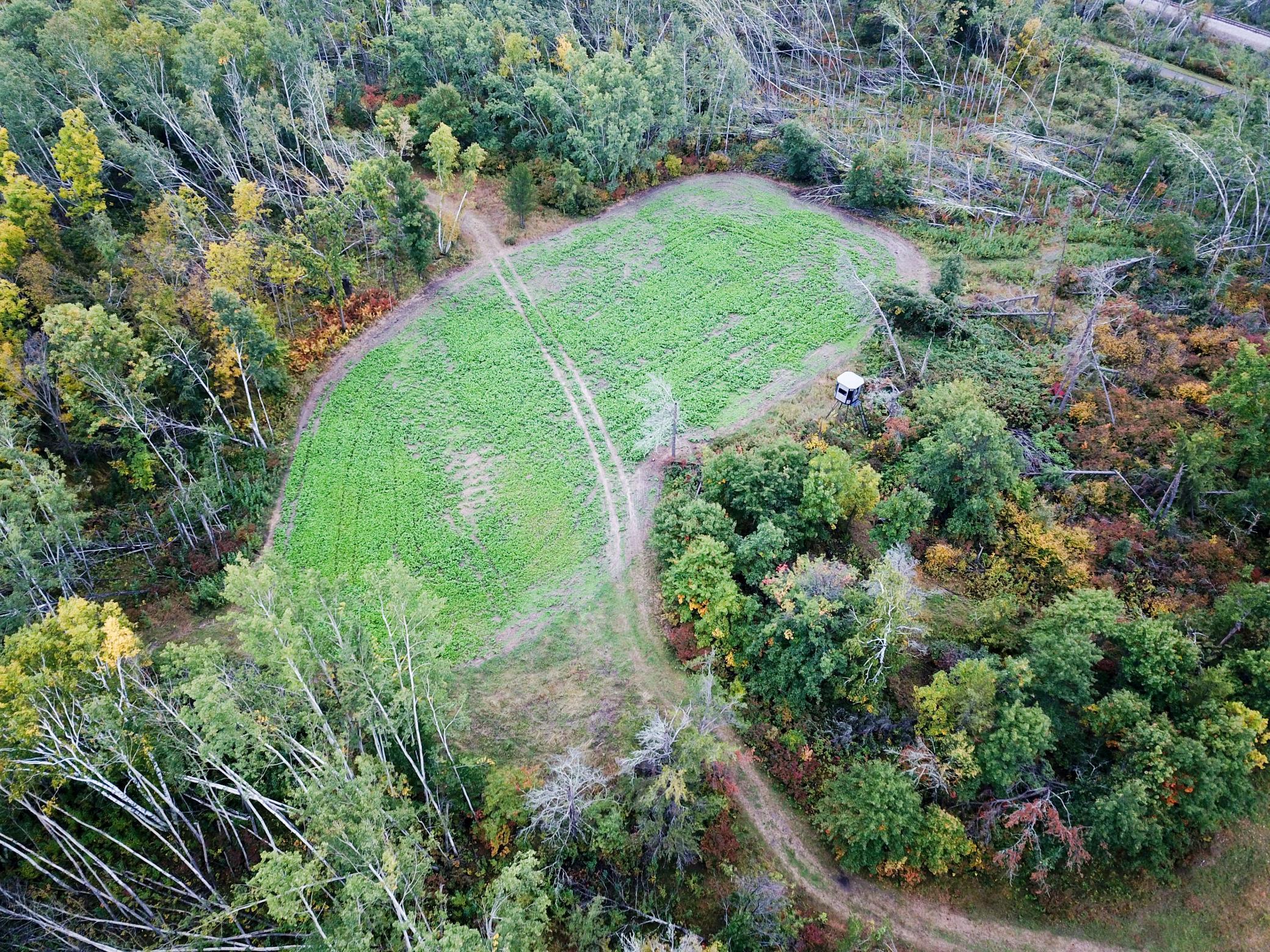 land for sale at TBD 15th Street NW in Bemidji, MN (photo 3 of 70)