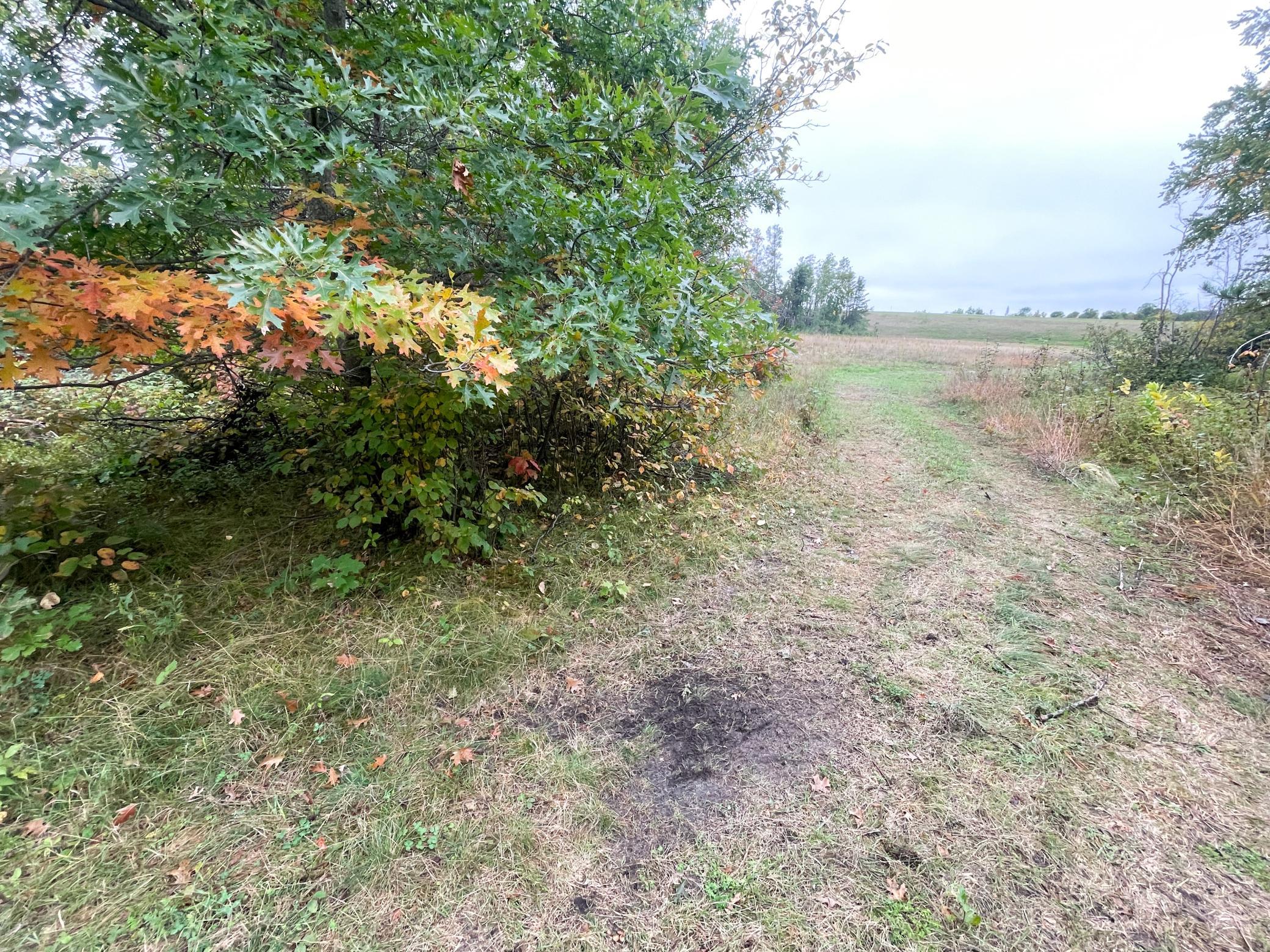 land for sale at TBD 15th Street NW in Bemidji, MN (photo 23 of 70)