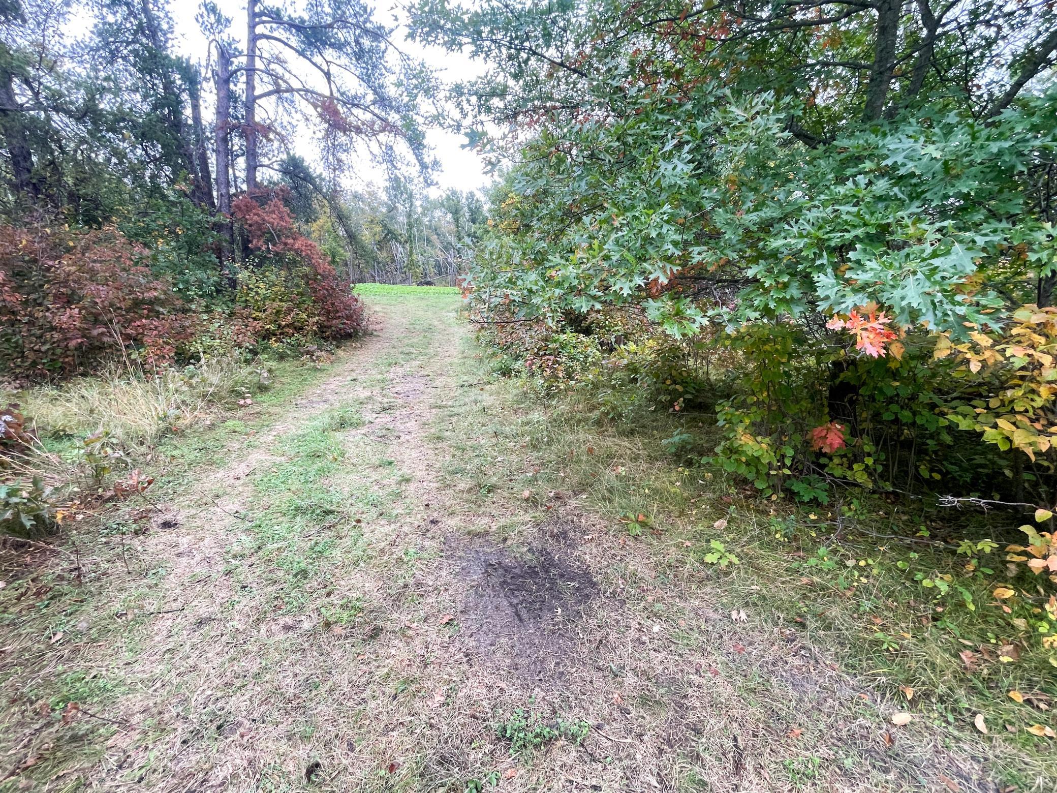land for sale at TBD 15th Street NW in Bemidji, MN (photo 24 of 70)