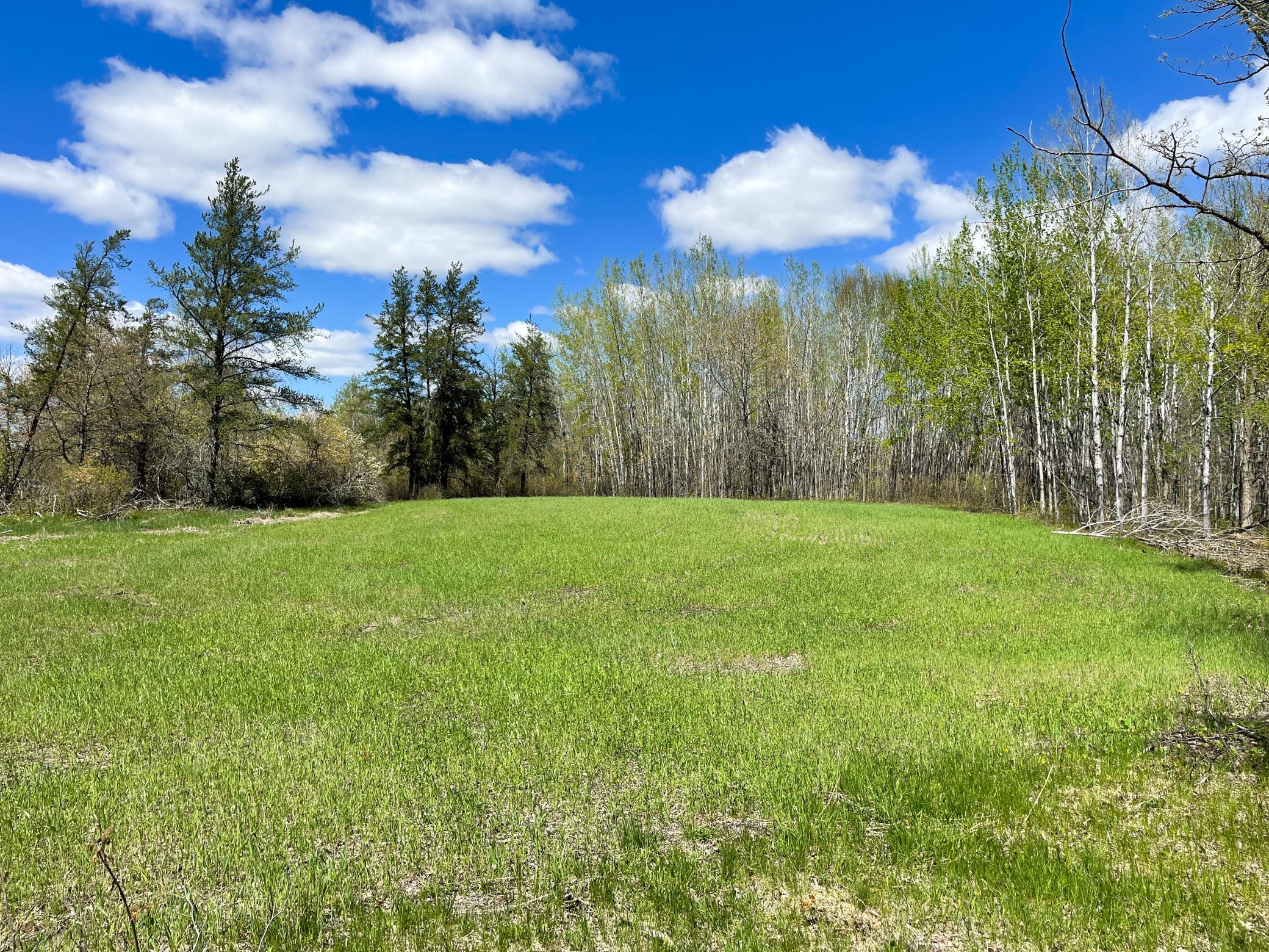 land for sale at TBD 15th Street NW in Bemidji, MN (photo 26 of 70)
