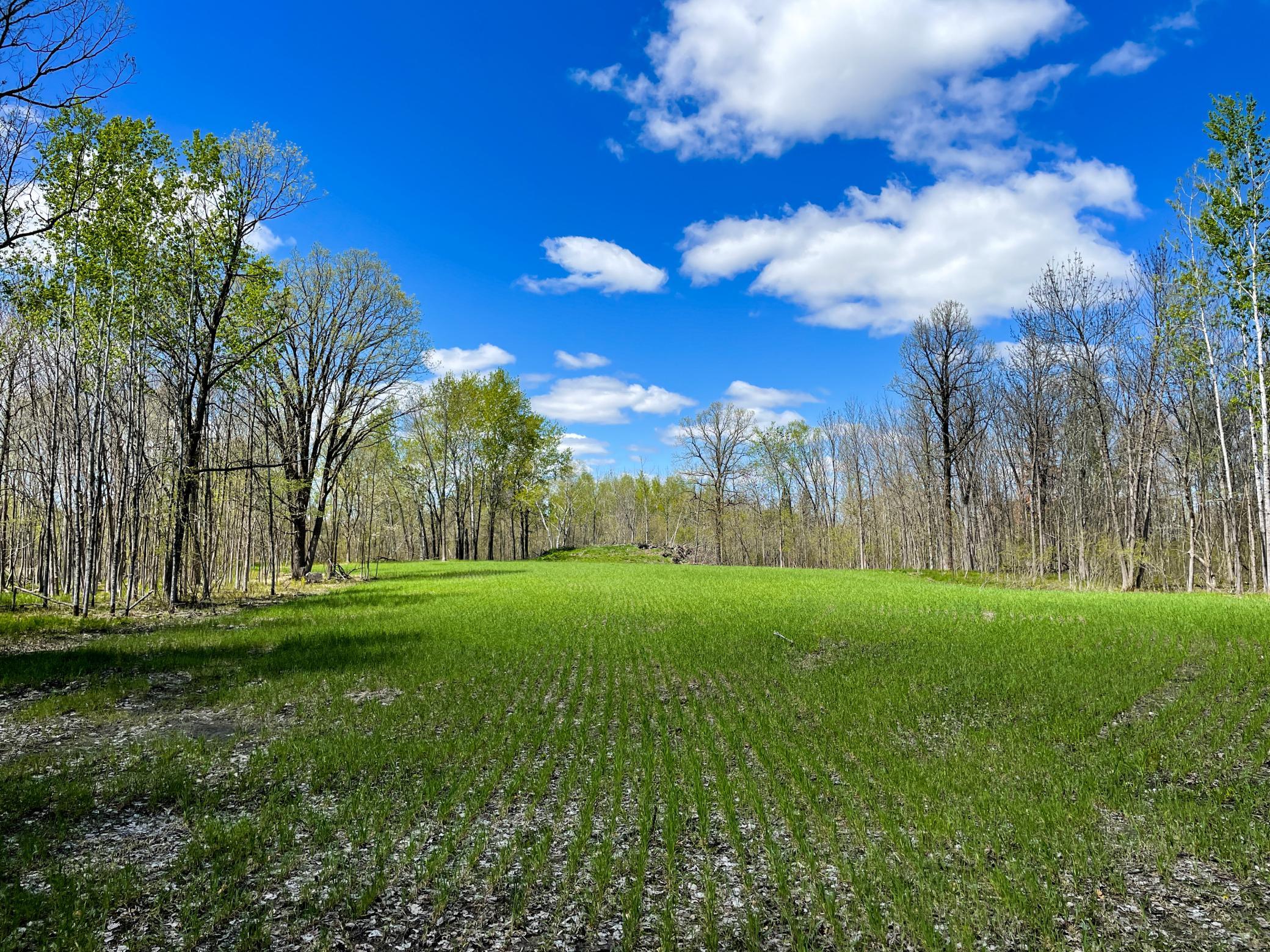 land for sale at TBD 15th Street NW in Bemidji, MN (photo 27 of 70)