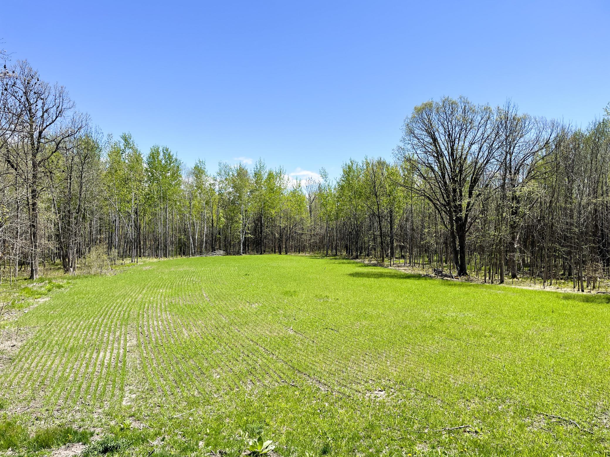 land for sale at TBD 15th Street NW in Bemidji, MN (photo 29 of 70)