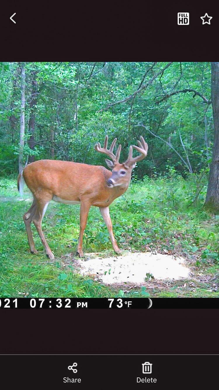 land for sale at TBD 15th Street NW in Bemidji, MN (photo 4 of 70)