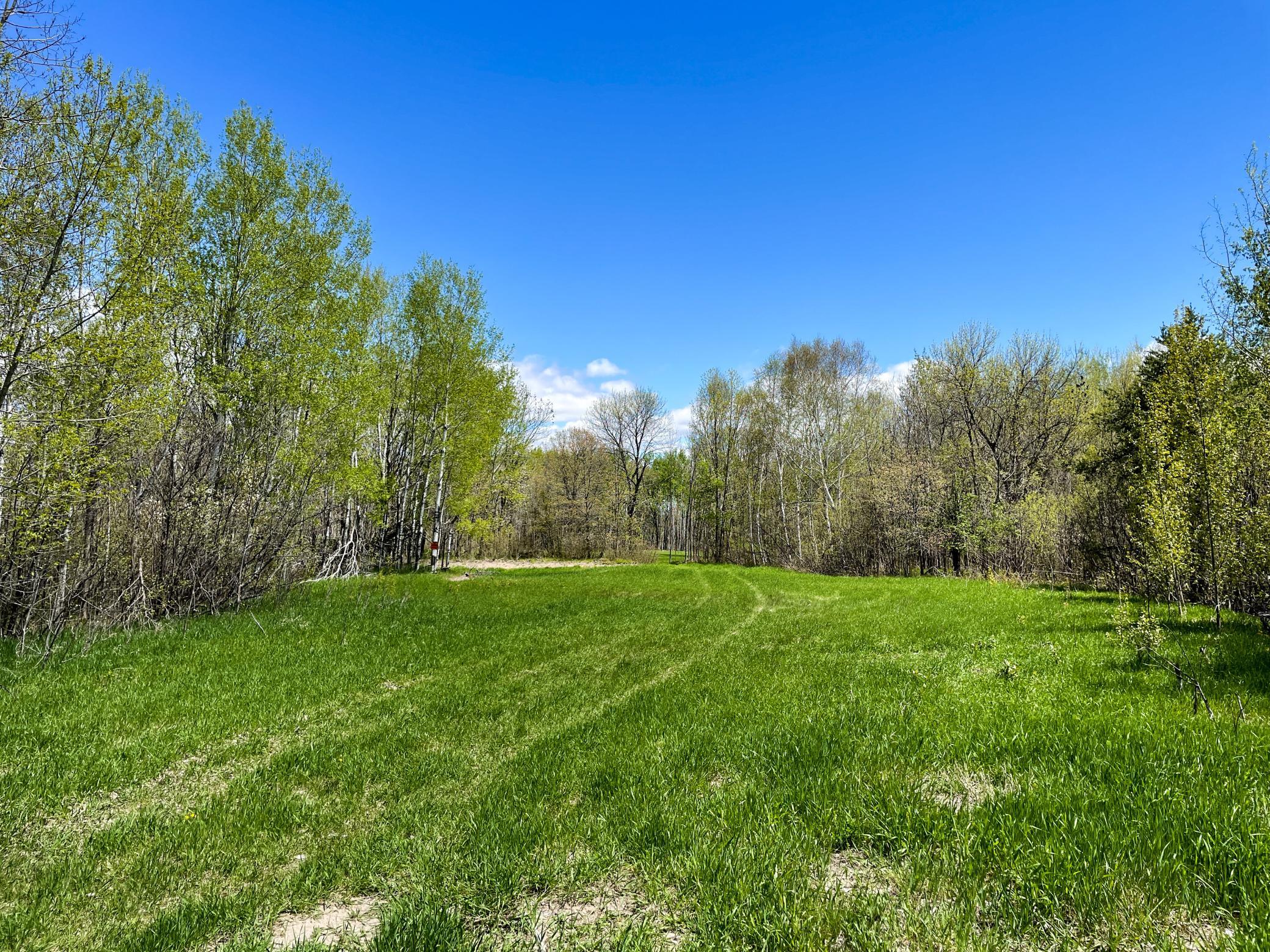 land for sale at TBD 15th Street NW in Bemidji, MN (photo 38 of 70)