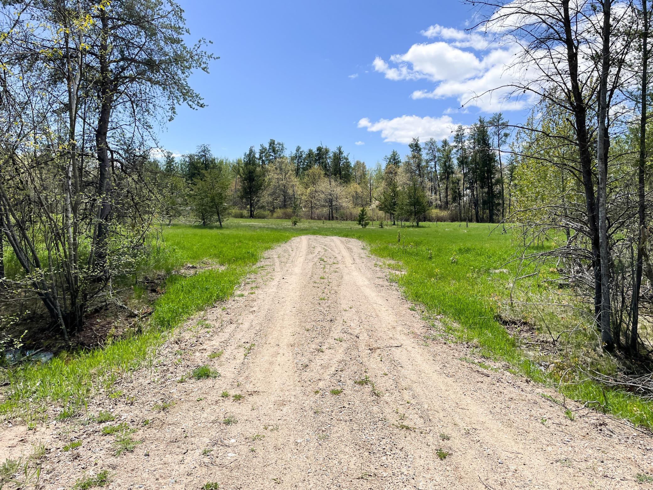 land for sale at TBD 15th Street NW in Bemidji, MN (photo 39 of 70)