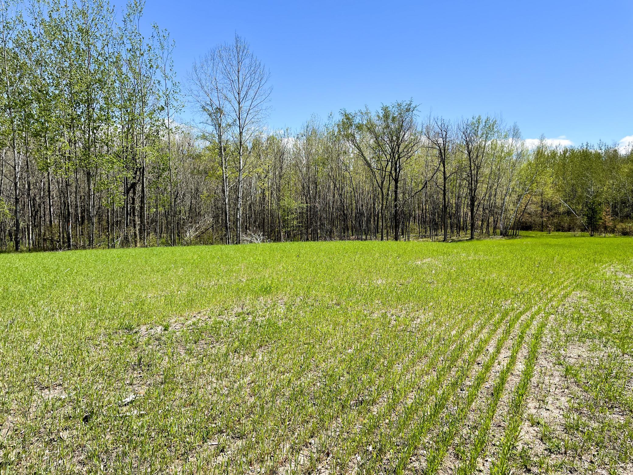 land for sale at TBD 15th Street NW in Bemidji, MN (photo 40 of 70)