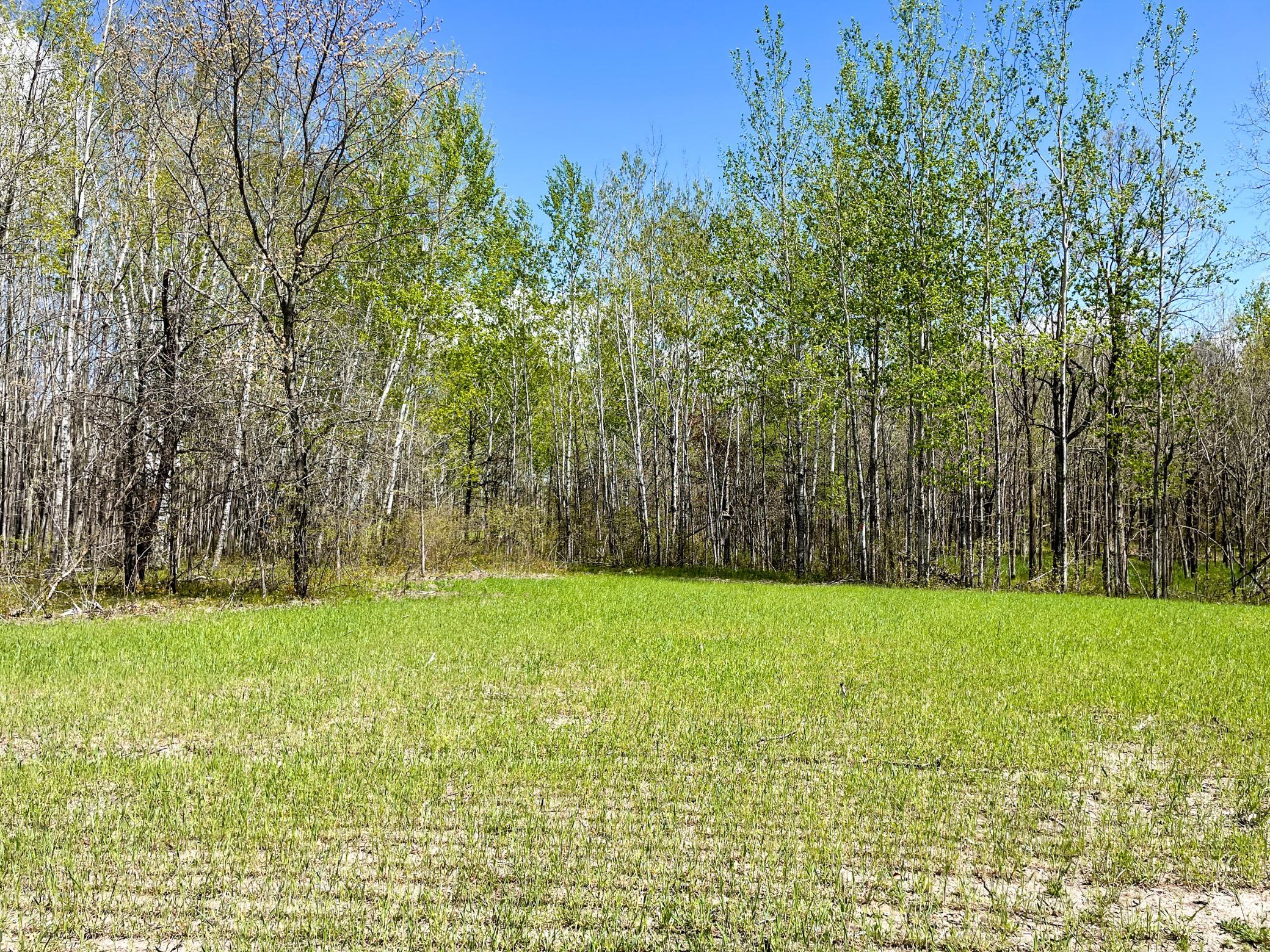 land for sale at TBD 15th Street NW in Bemidji, MN (photo 41 of 70)