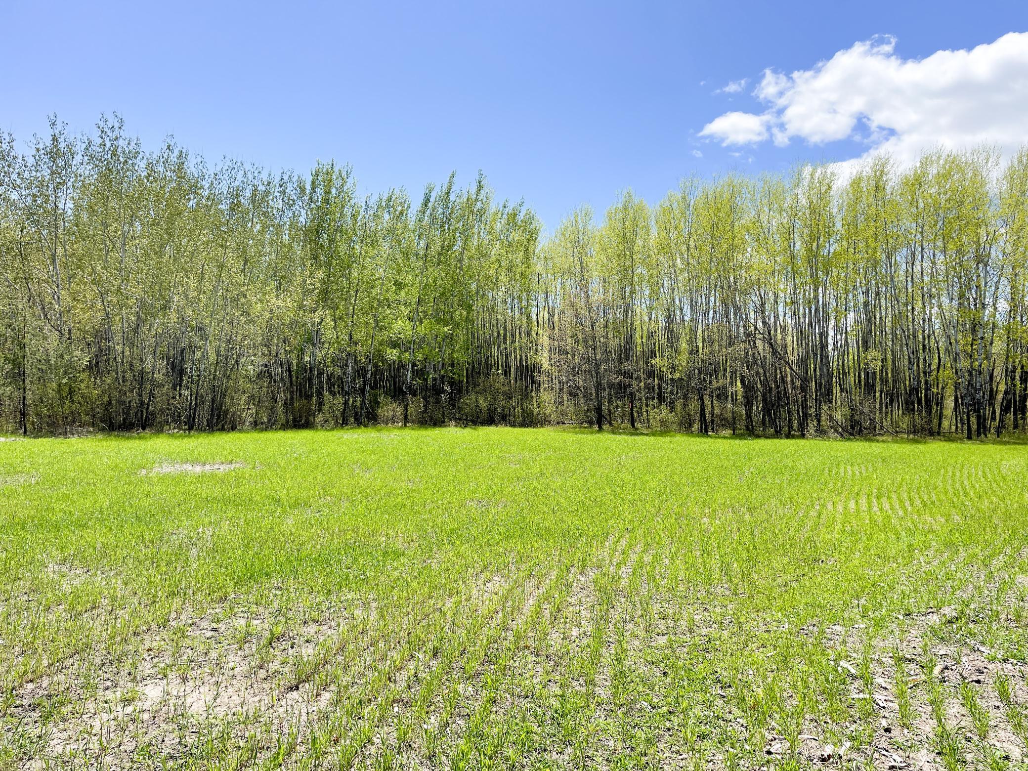 land for sale at TBD 15th Street NW in Bemidji, MN (photo 42 of 70)