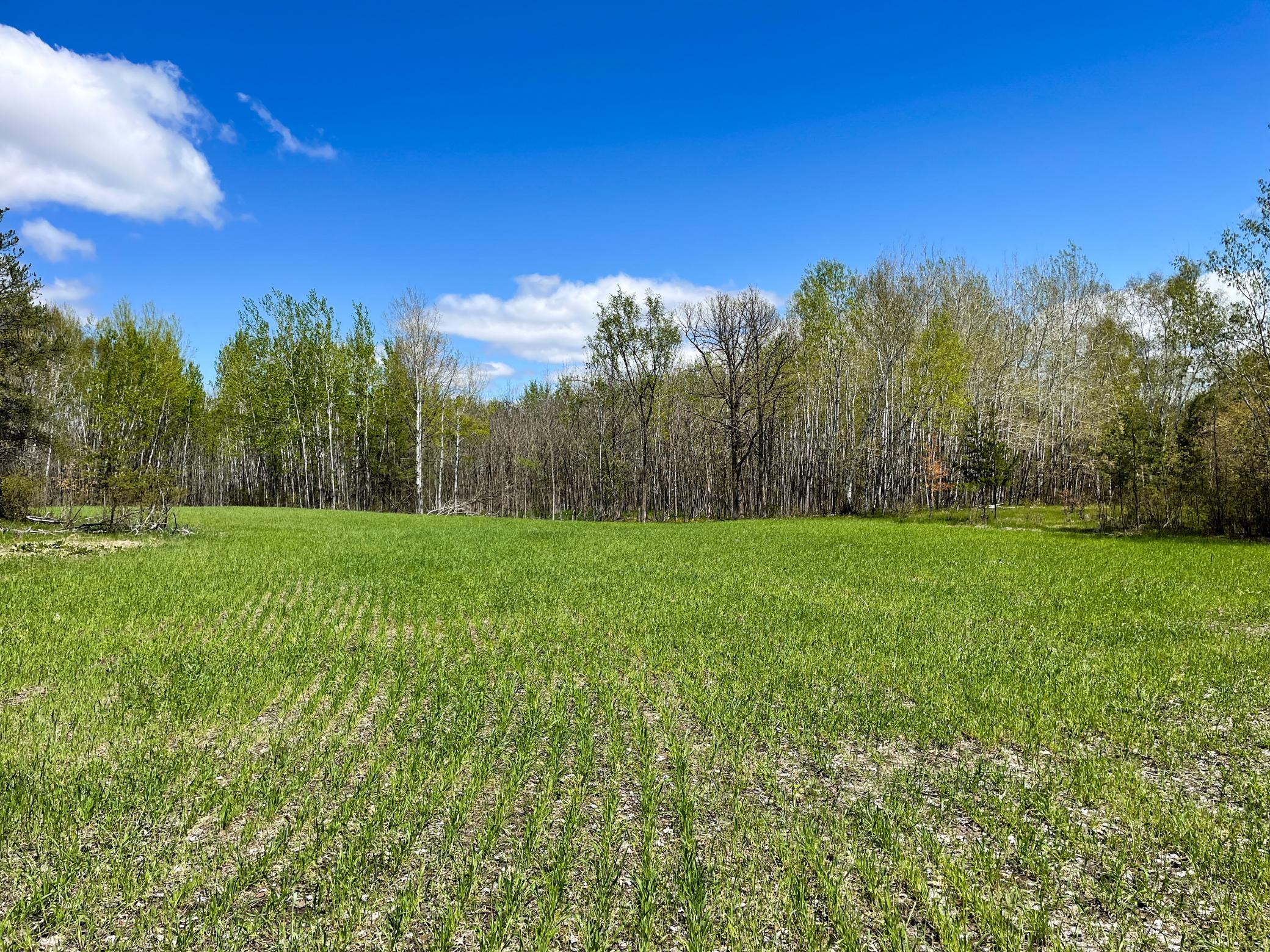land for sale at TBD 15th Street NW in Bemidji, MN (photo 43 of 70)